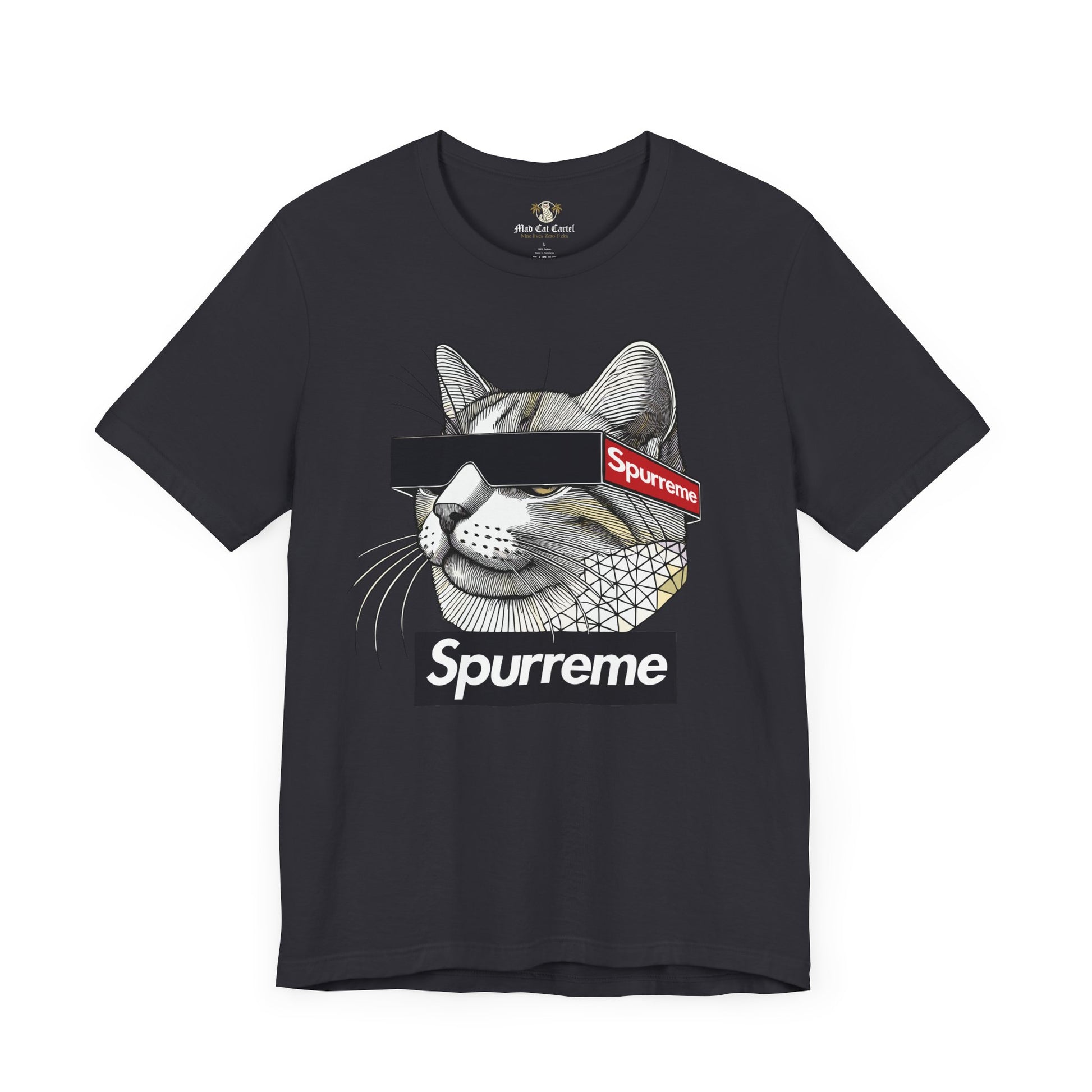 Spurreme Triangular Vision Cat Graphic T Shirt in Dark Grey front flat view, cat shirts for women
