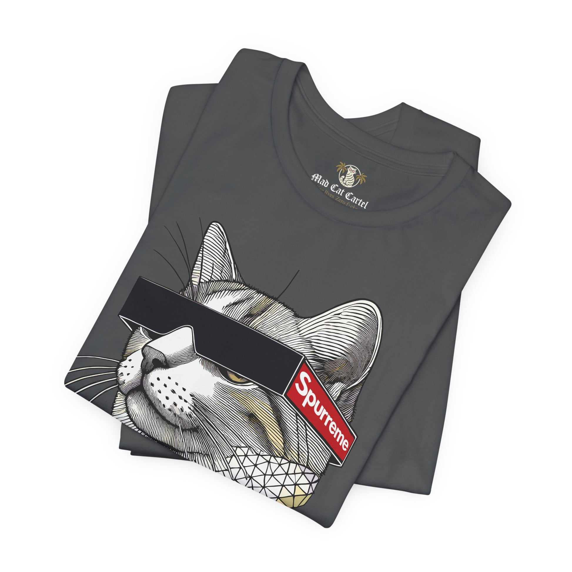 Asphalt Spurreme Triangular Vision Cat Graphic T-Shirt folded flat – clothes with cats on them
