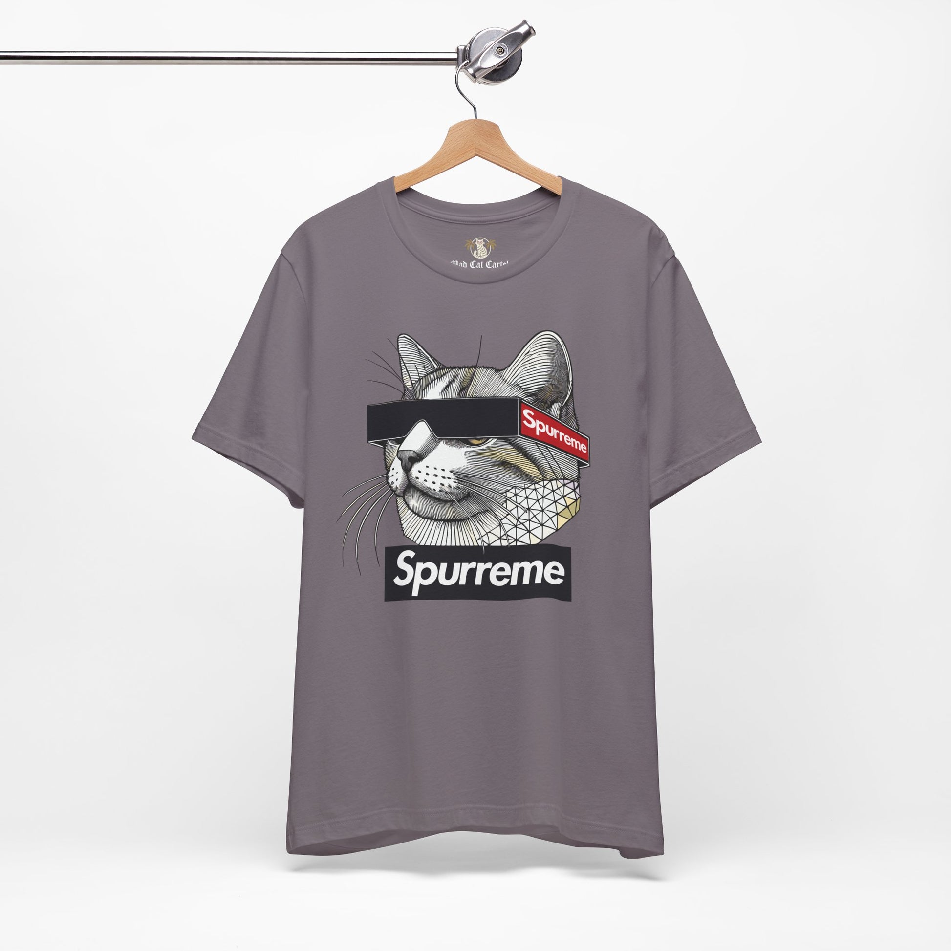 Spurreme Triangular Vision Cat Graphic T Shirt in storm gray on hanger, mens cat shirts