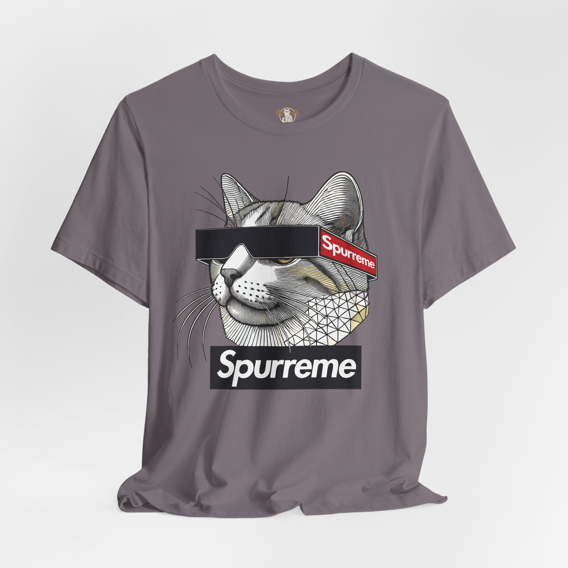 Spurreme Triangular Vision Cat Graphic T Shirt in Storm gray flat lay, cat t shirts for guys