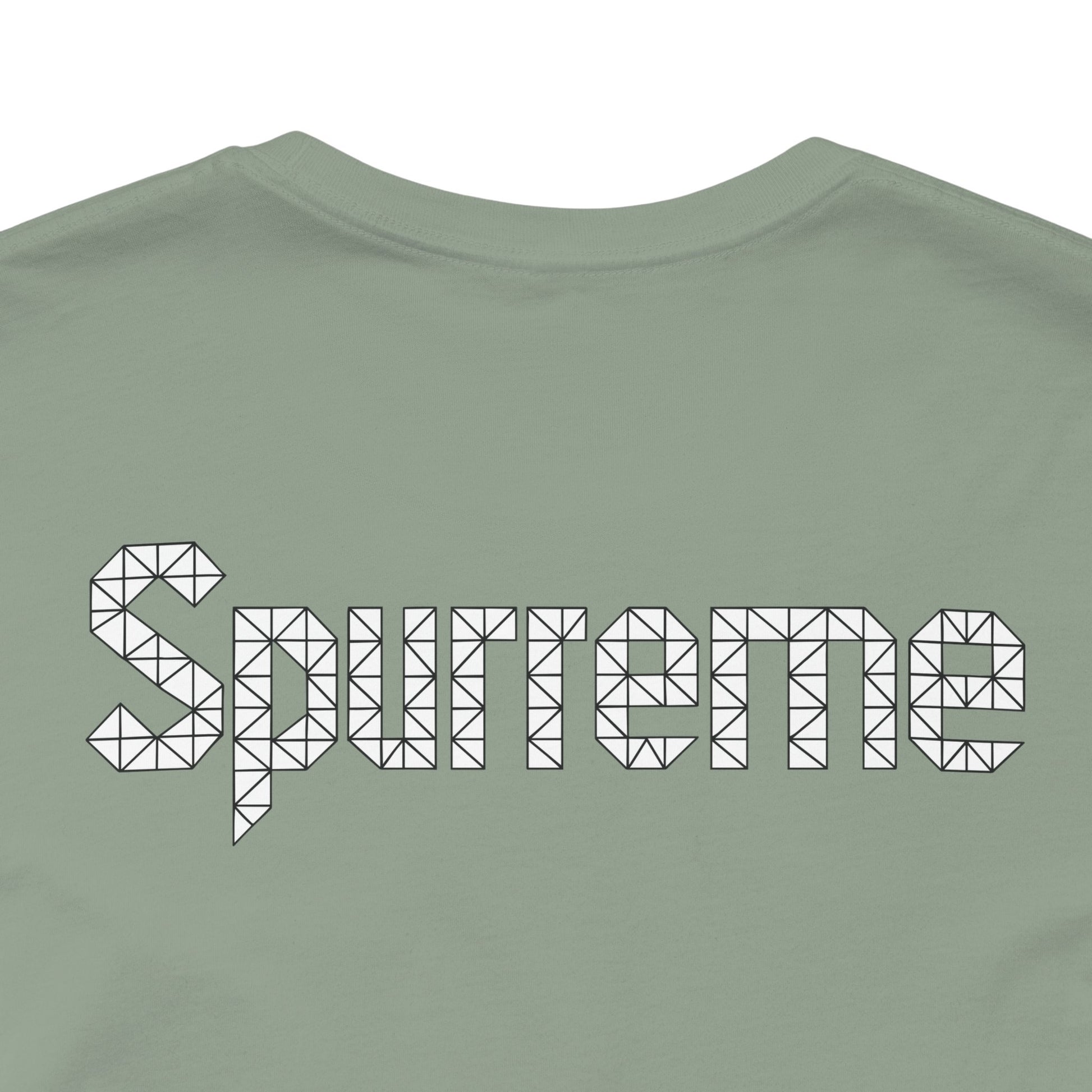 Spurreme Triangular Vision Cat Graphic T Shirt in Sage back view, cat shirts for women