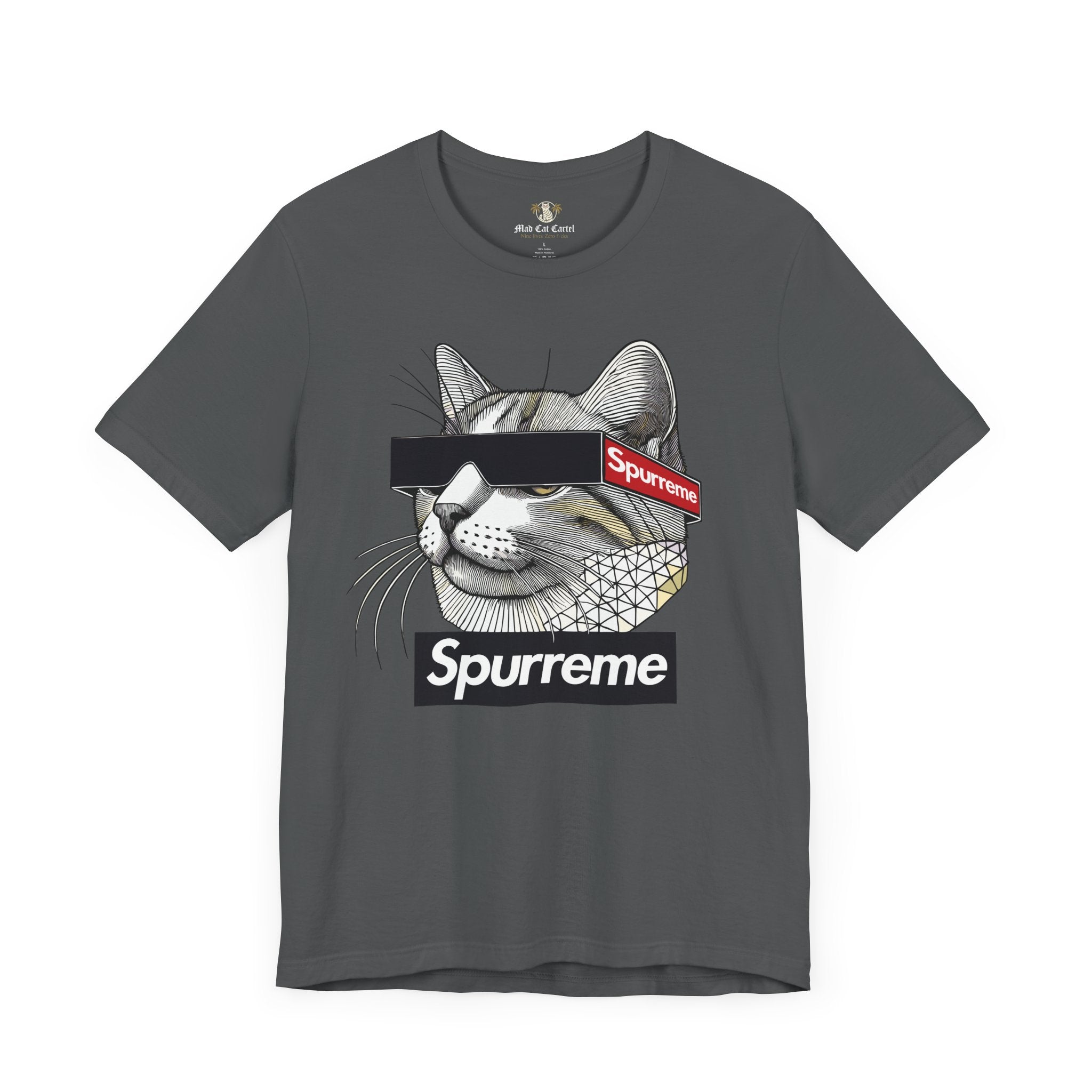 Asphalt Spurreme Triangular Vision Cat Graphic T-Shirt front view – clothes with cats on them unisex