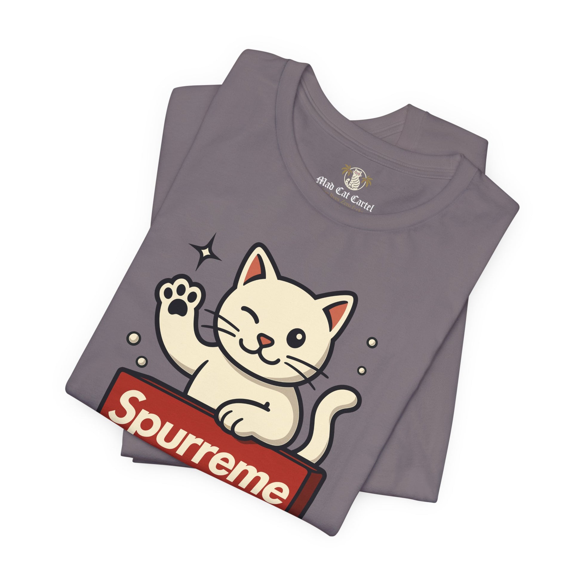 Gray t shirt folded flat lay men’s cat shirt