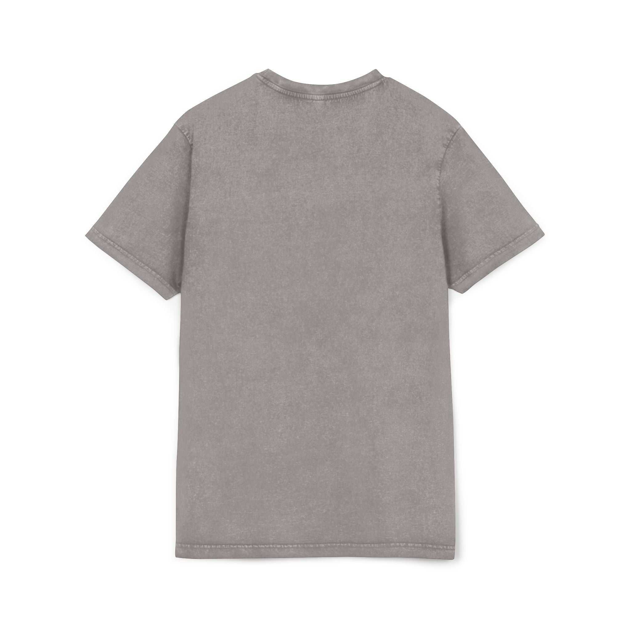 Mewcci Cat Pasta Sketch Graphic Acid Washed Tee in asphalt, back view