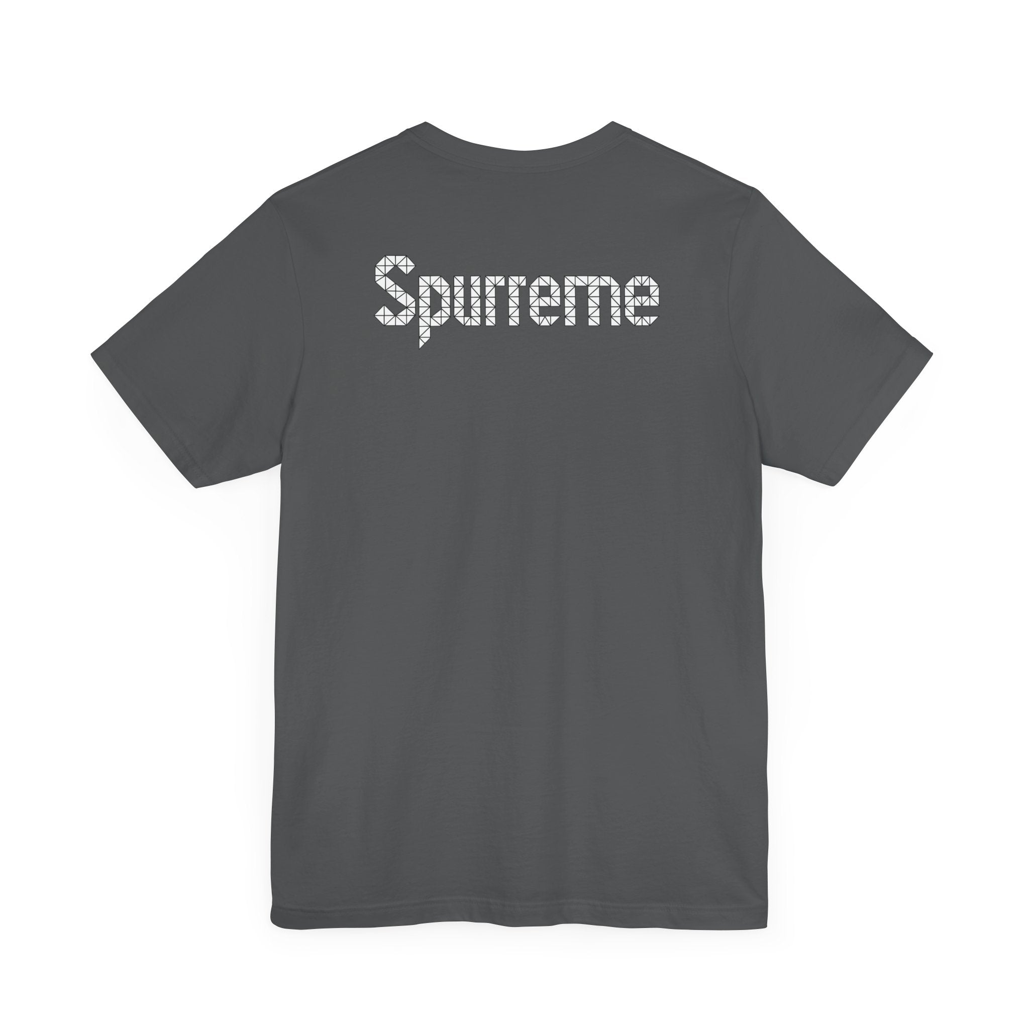 Spurreme Triangular Vision Cat Graphic T-Shirt in asphalt, back view