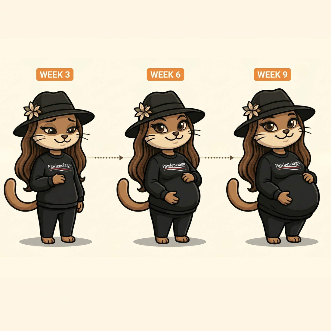 Cartoon cat in a Pawlenciaga sweatshirt at week 3, week 6 and week 9 of pregnancy, with her belly growing