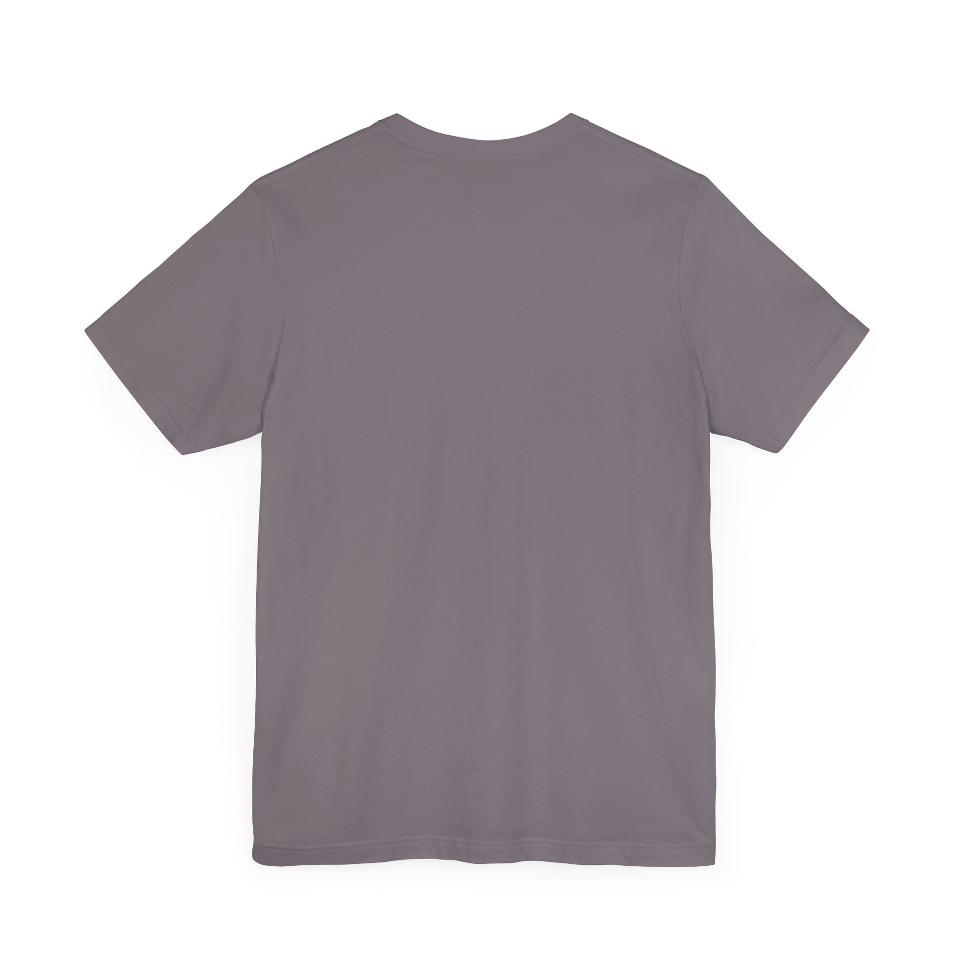 Back view of storm grey Versacat Royal Emblem cat lover t shirt – shirts for men and women