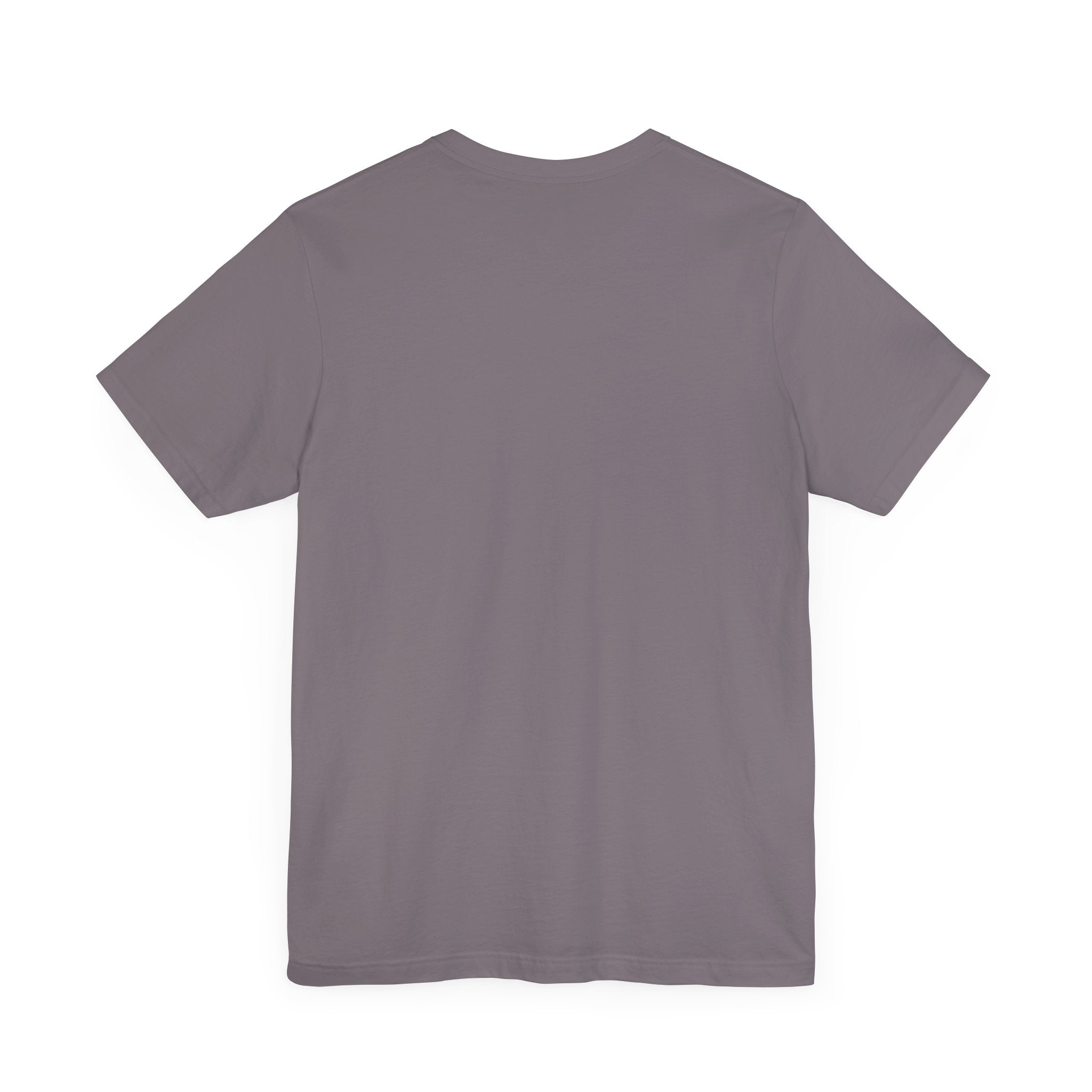 Back view of storm grey Versacat Royal Emblem cat lover t shirt – shirts for men and women