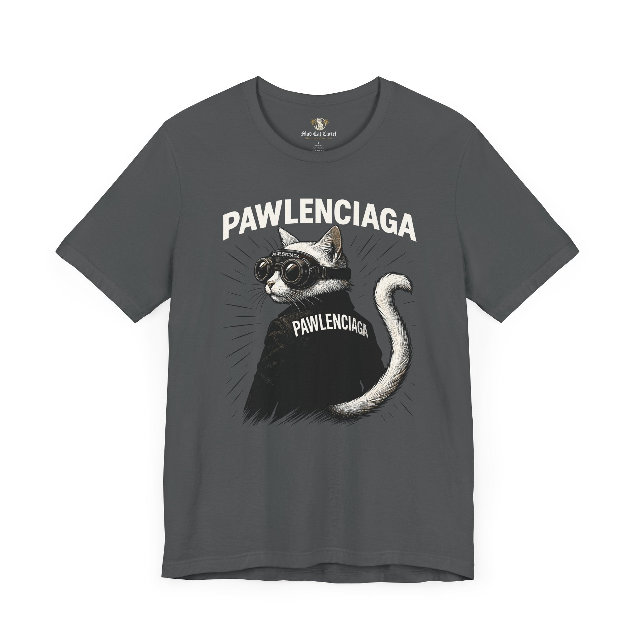 Pawlenciaga Cat With Goggles Back Pose Graphic T-Shirt, gray, shirts with cats on them, front view