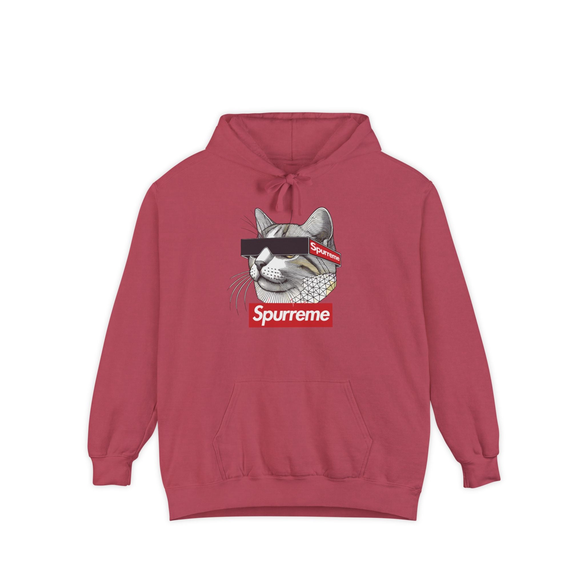 Spurreme Triangular Vision Cat Graphic Hoodie