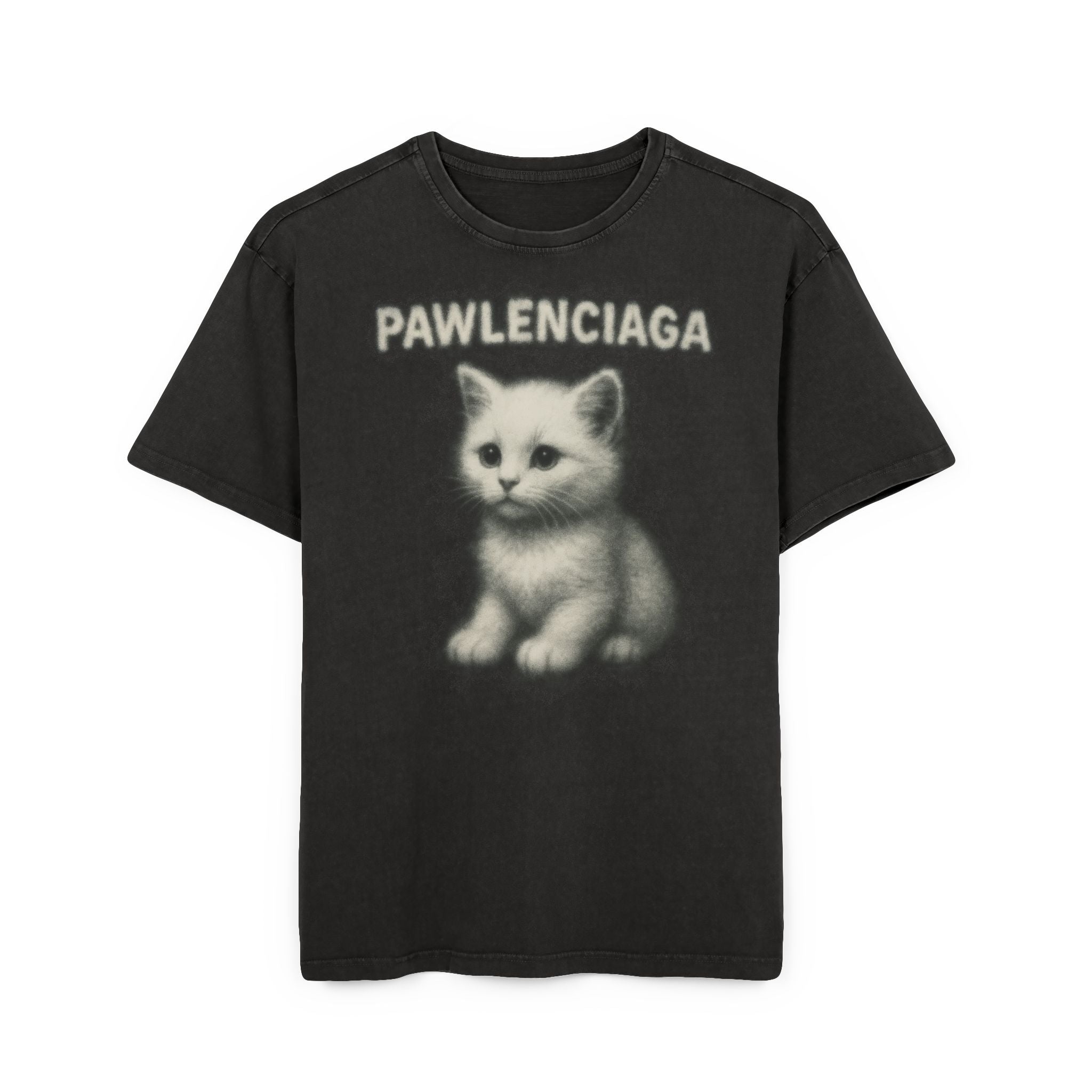 Pawlenciaga White Aura Kitty Print Graphic Acid Washed Oversized T-Shirt Black, black graphic t-shirt front view