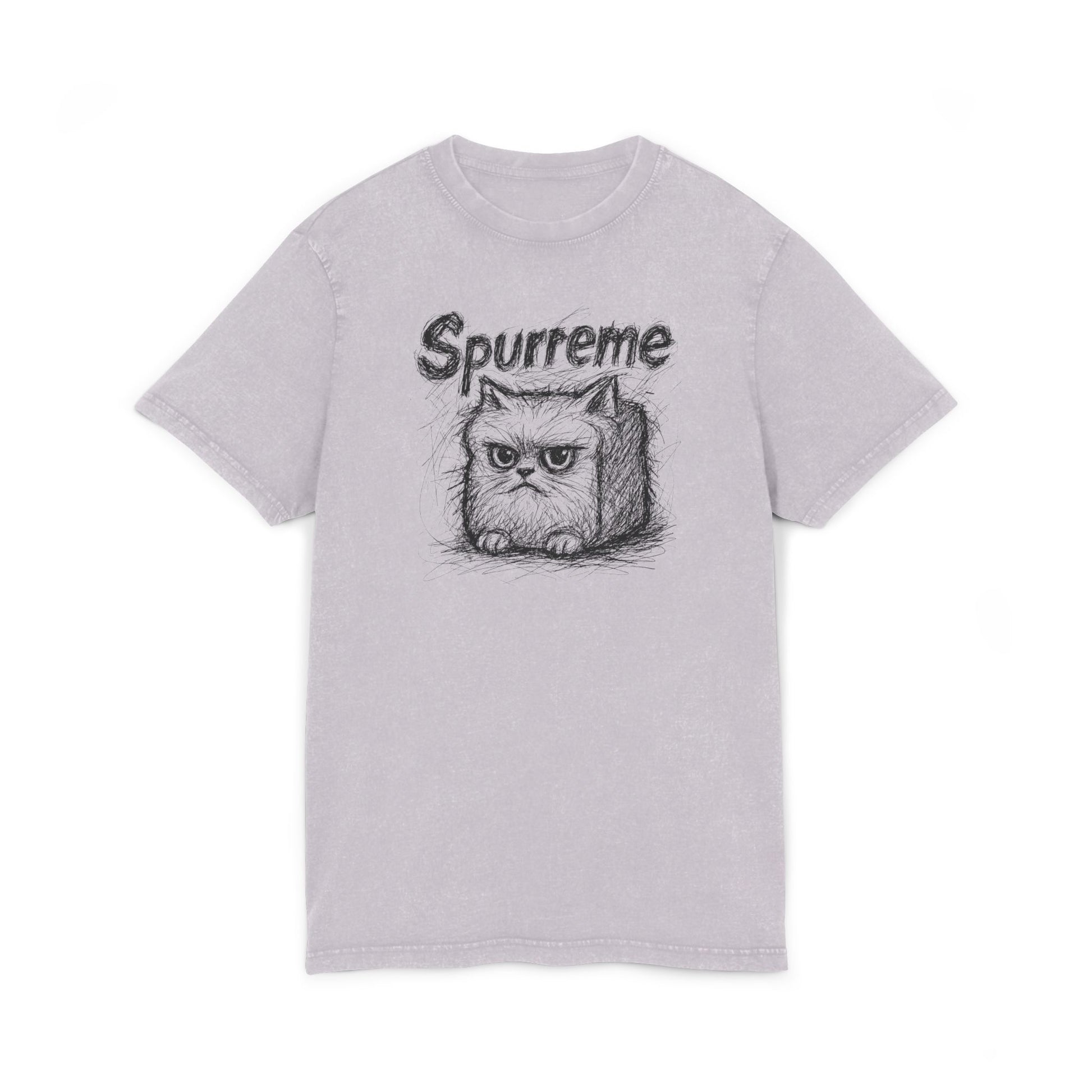 Spurreme angry cat graphic acid washed tee in soft lilac, funny t shirt for women