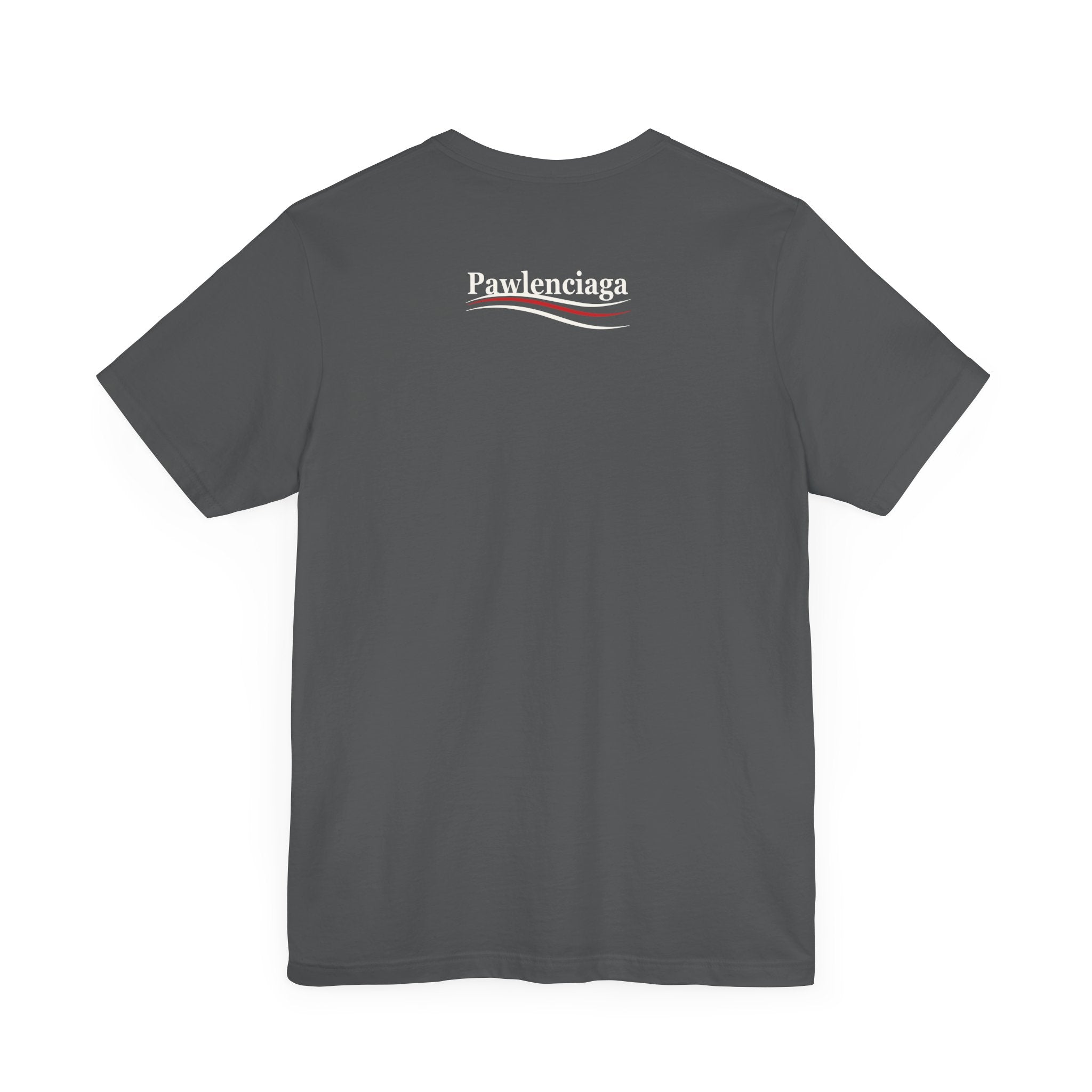 gray Pawlenciaga cat tee, flat back, t shirt cat lover, logo on back