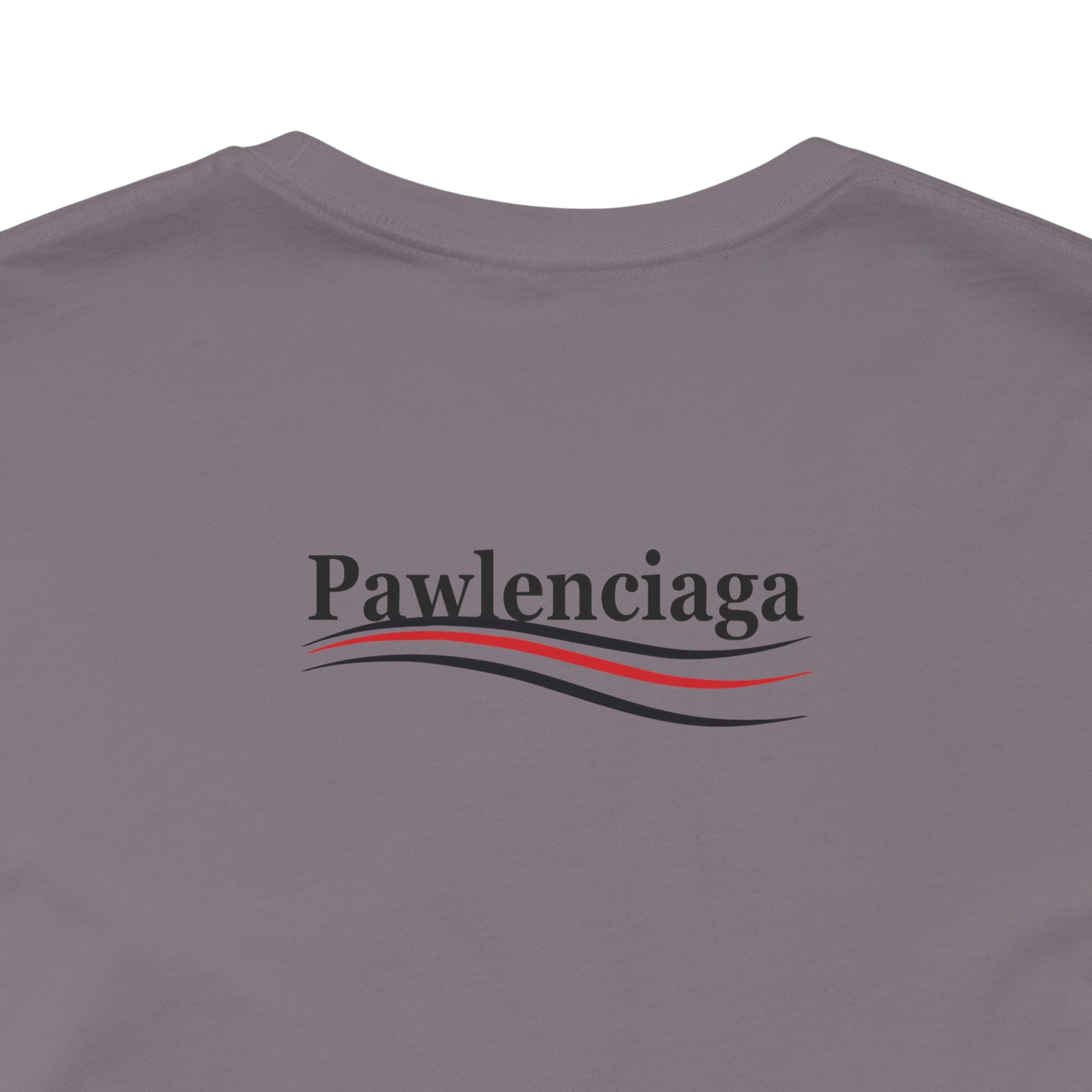 gray tee for cat lovers with Pawlenciaga logo on back, close up