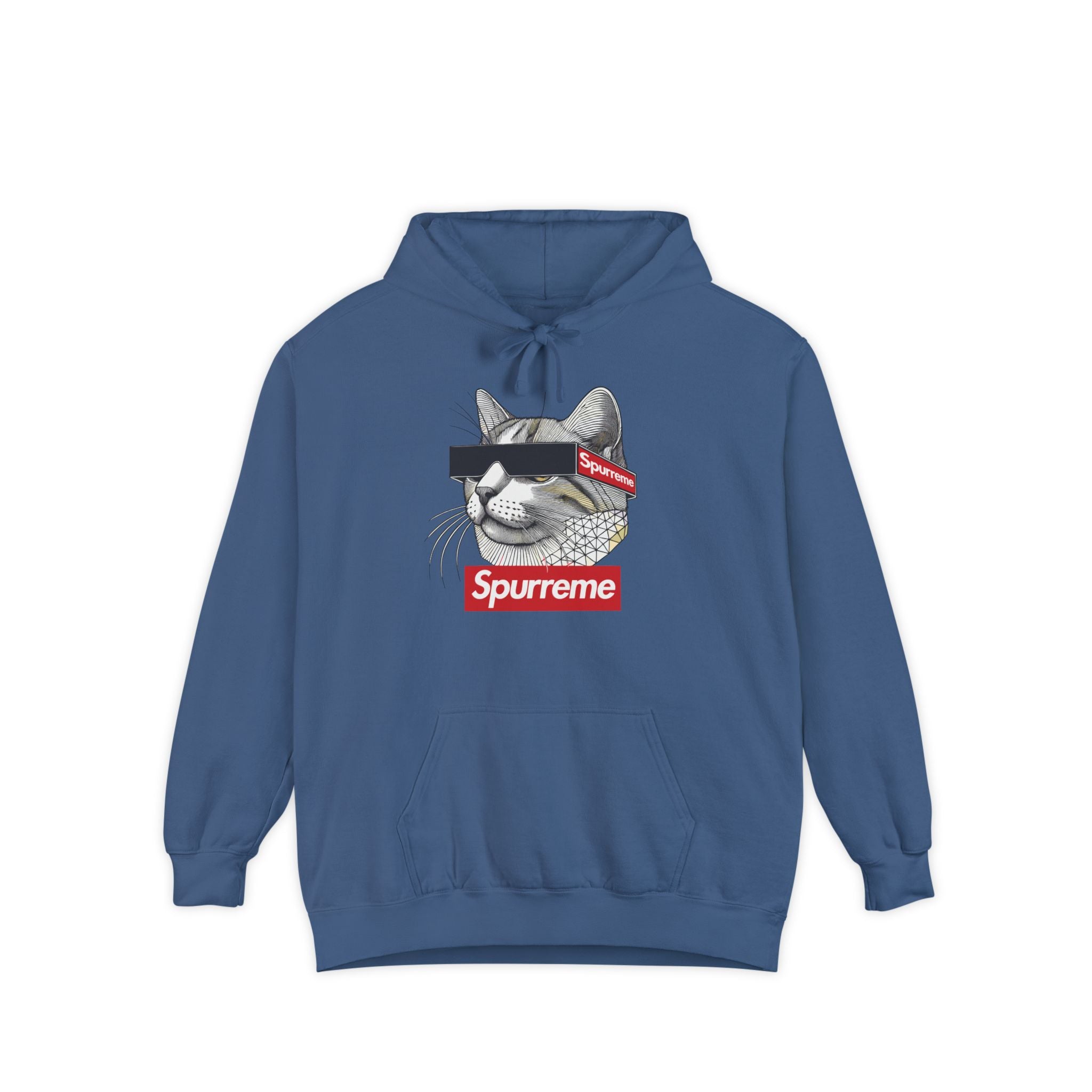 Spurreme Triangular Vision Cat Graphic Hoodie