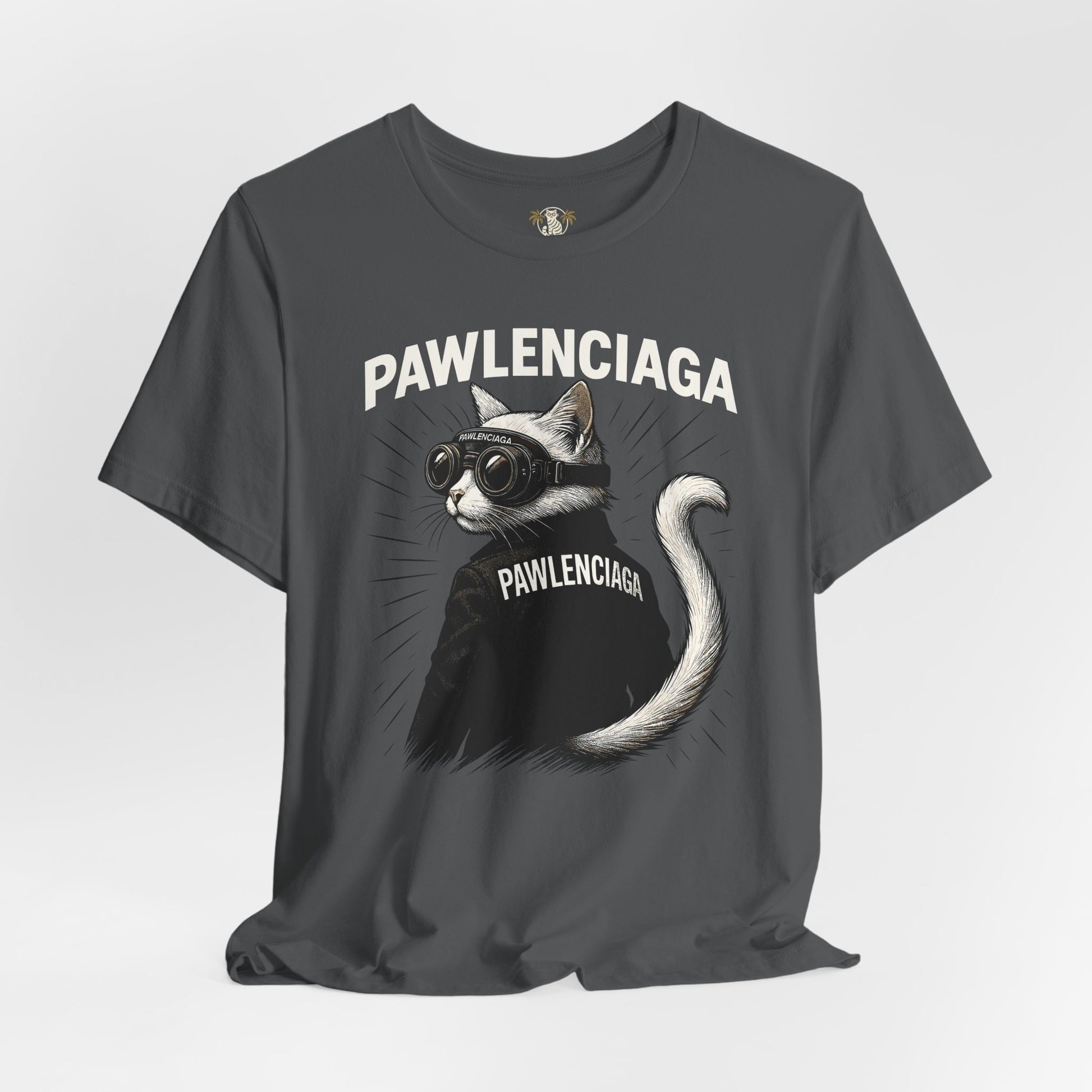 gray Pawlenciaga cat graphic tee, cat t-shirts, front view