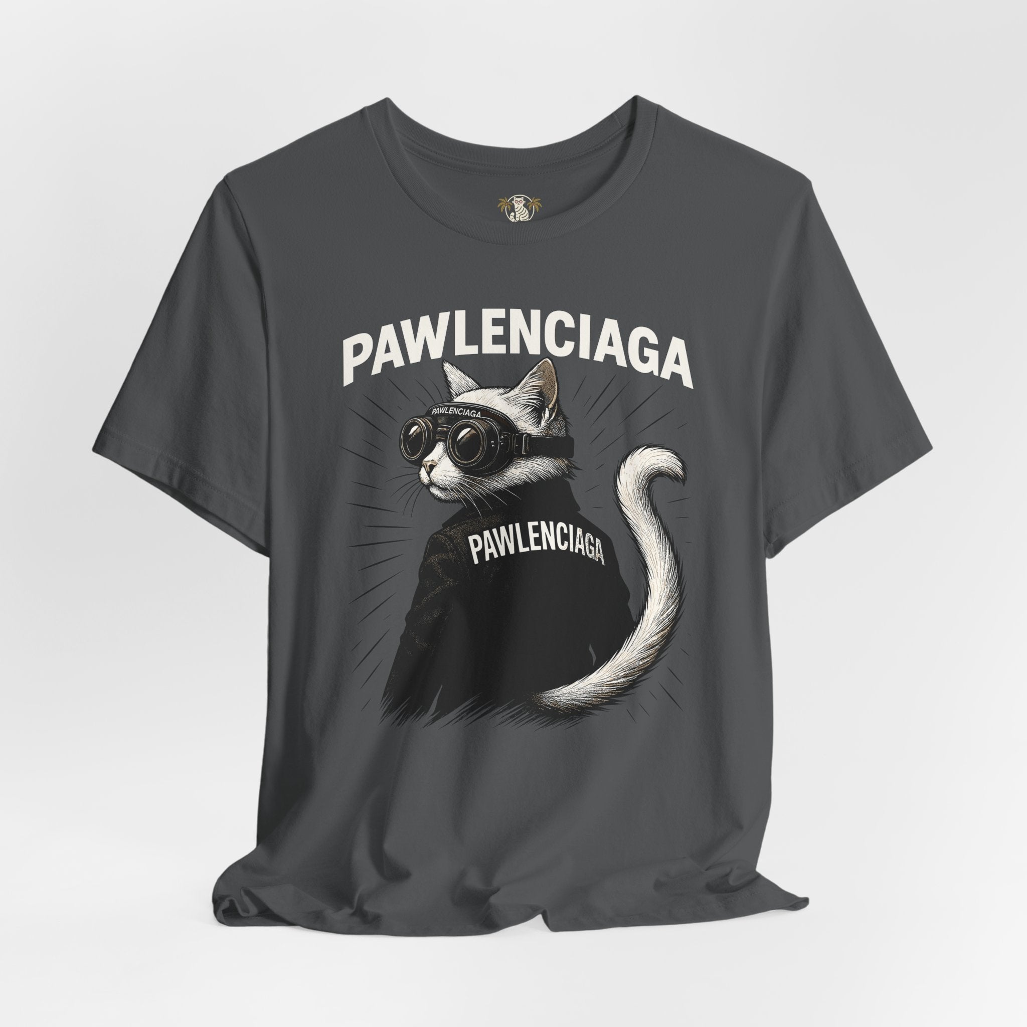 gray Pawlenciaga cat graphic tee, cat t-shirts, front view