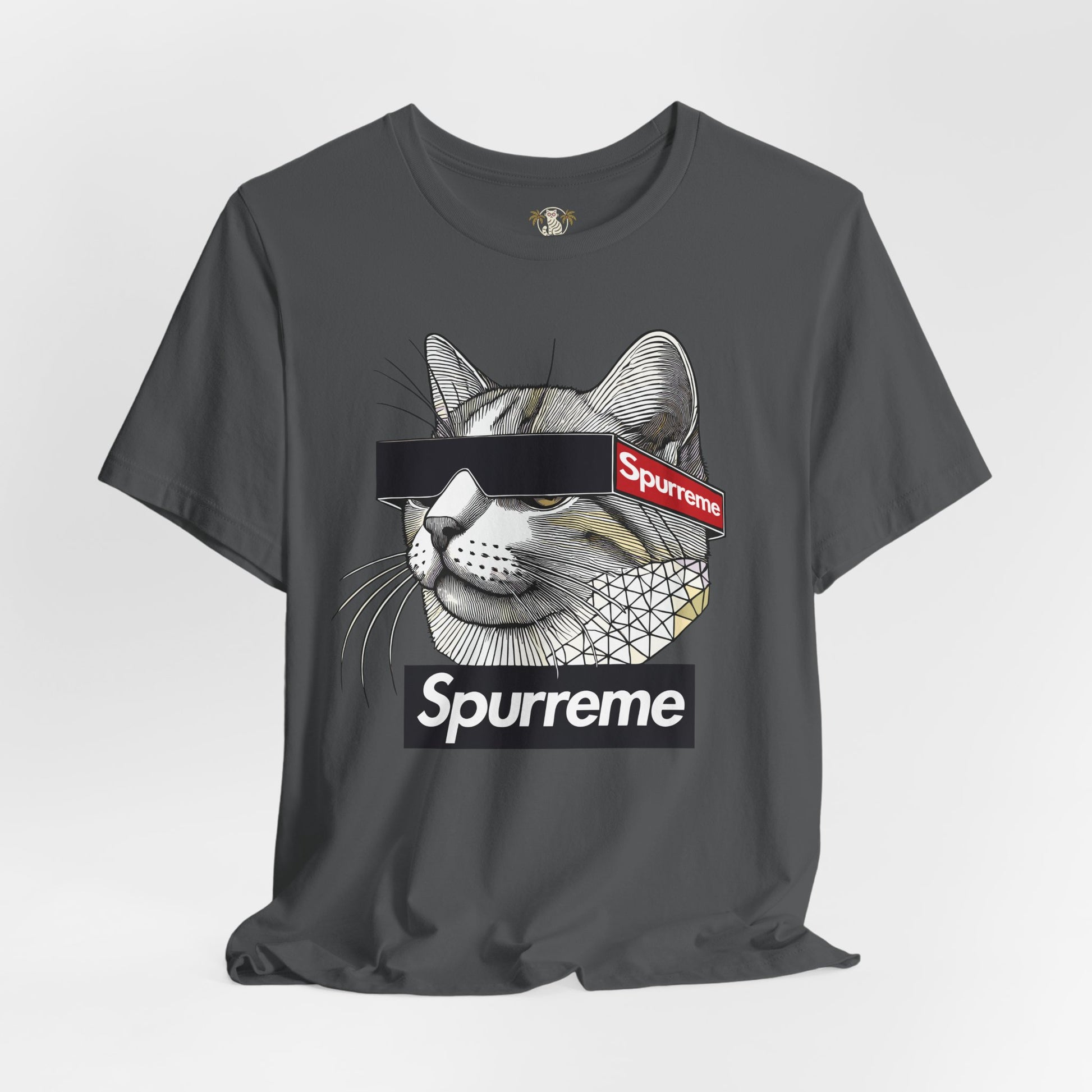 Asphalt Spurreme Triangular Vision Cat Graphic T-Shirt flat lay – cat lover shirts