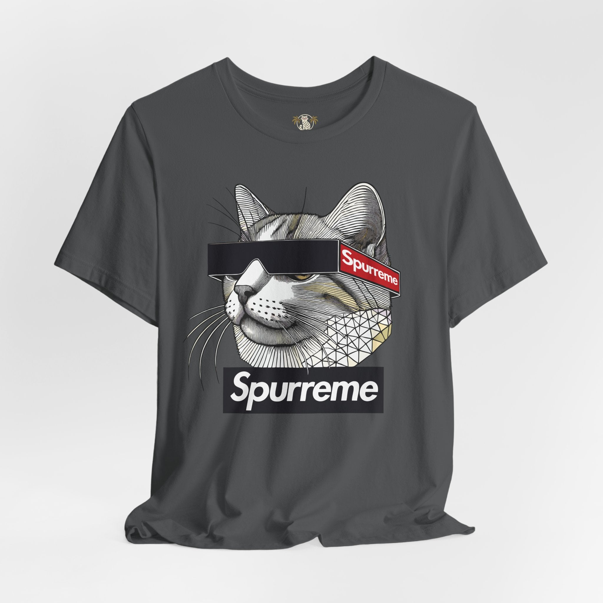 Asphalt Spurreme Triangular Vision Cat Graphic T-Shirt flat lay – cat lover shirts