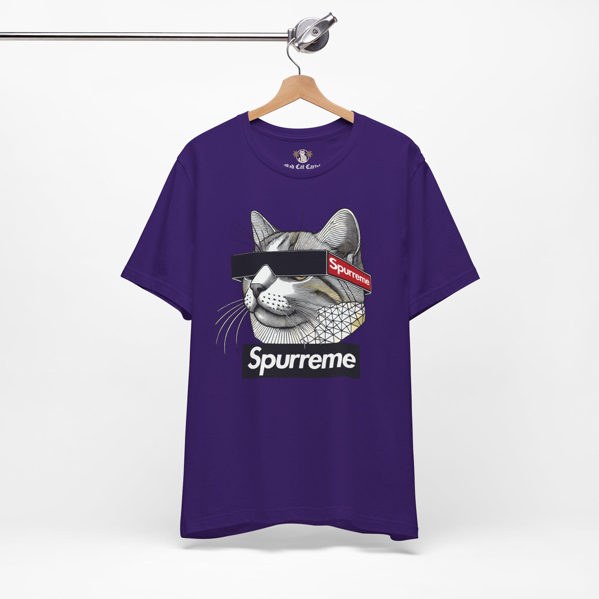 Spurreme Triangular Vision Cat Graphic T Shirt in Team Purple on hanger, cat shirts for women