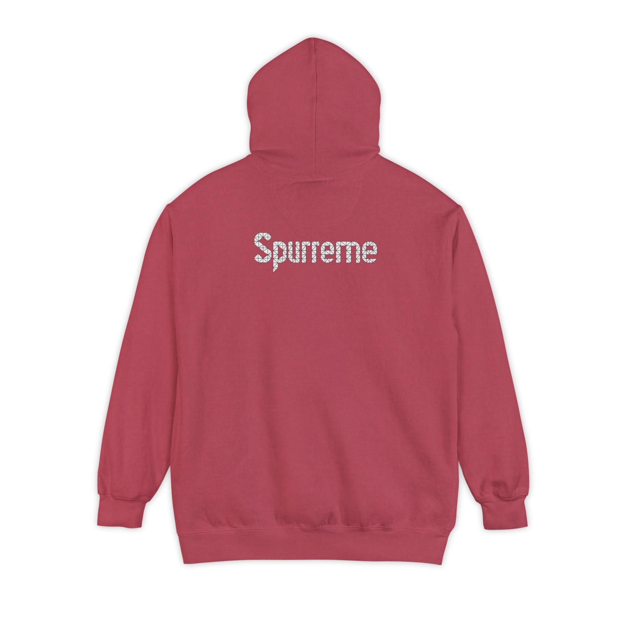 Spurreme Triangular Vision Cat Graphic Hoodie