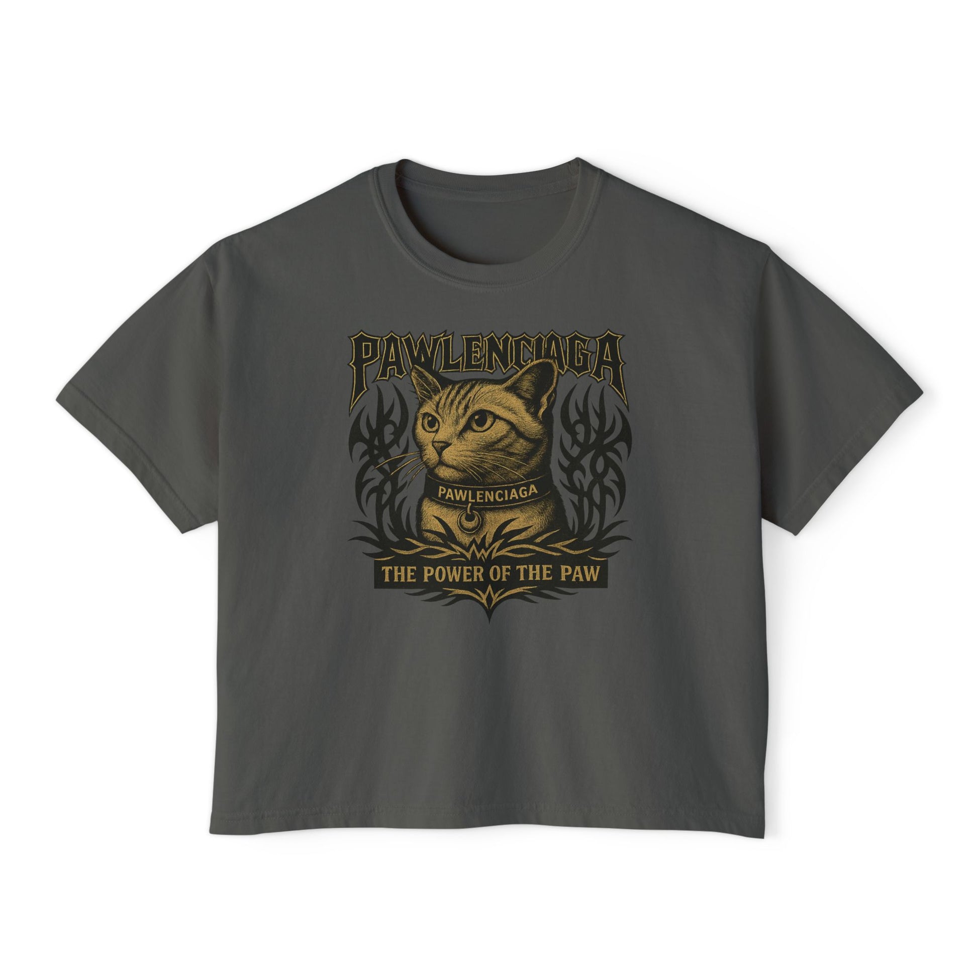 Pawlenciaga The Power of Paw Women's Boxy T Shirt, pepper gray front view, shirts for cat lovers