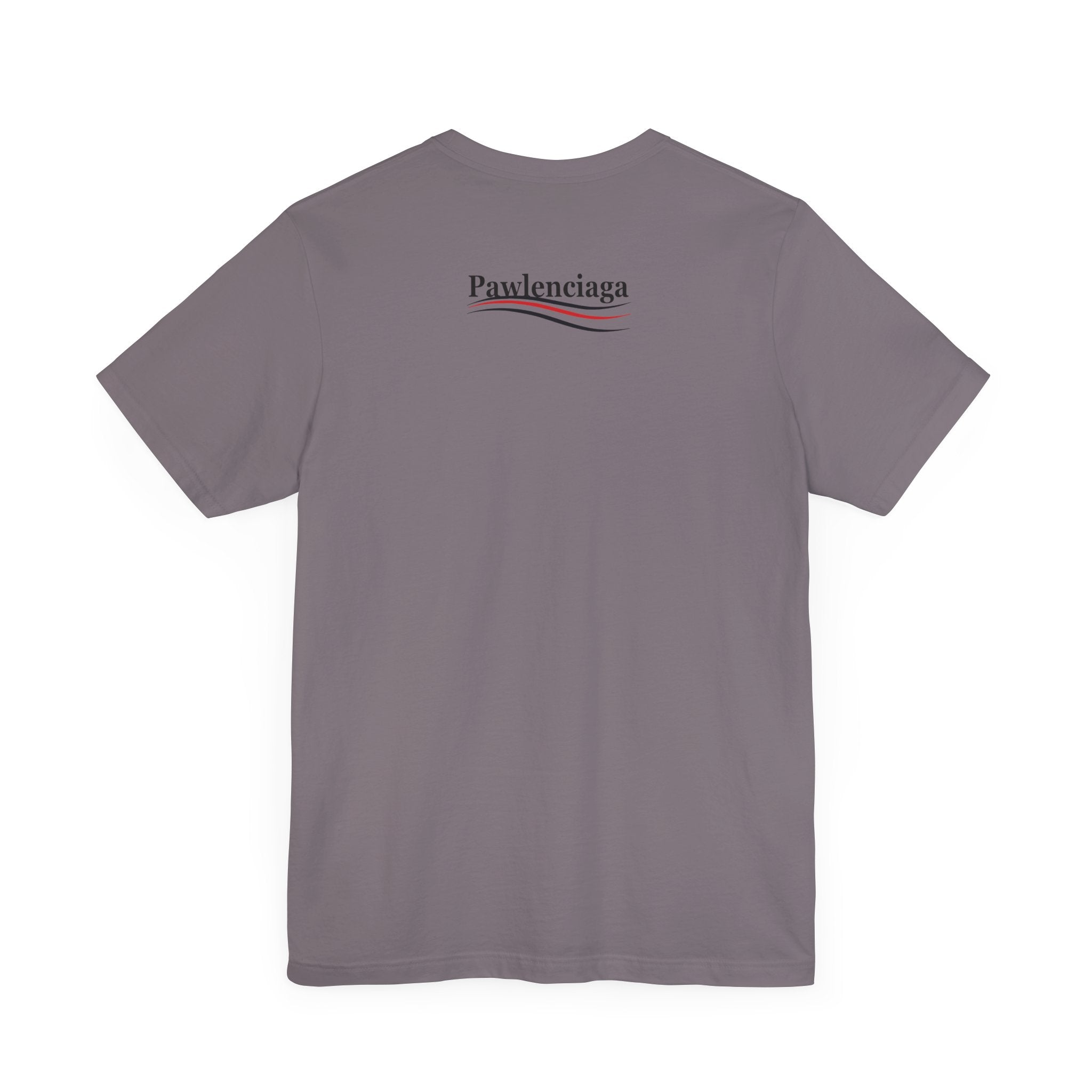gray Pawlenciaga cat tee, flat back, t shirt cat lover, logo on back