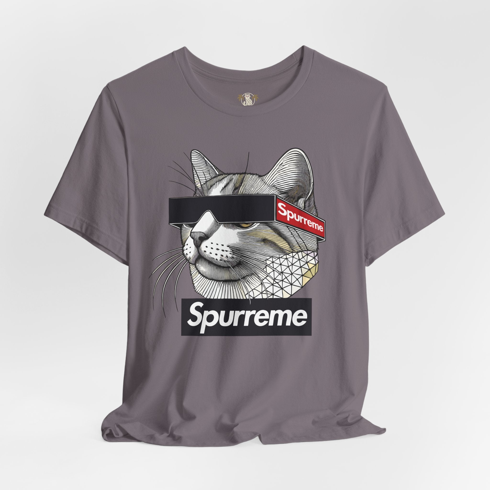 Spurreme Triangular Vision Cat Graphic T Shirt in Storm gray flat lay, cat t shirts for guys