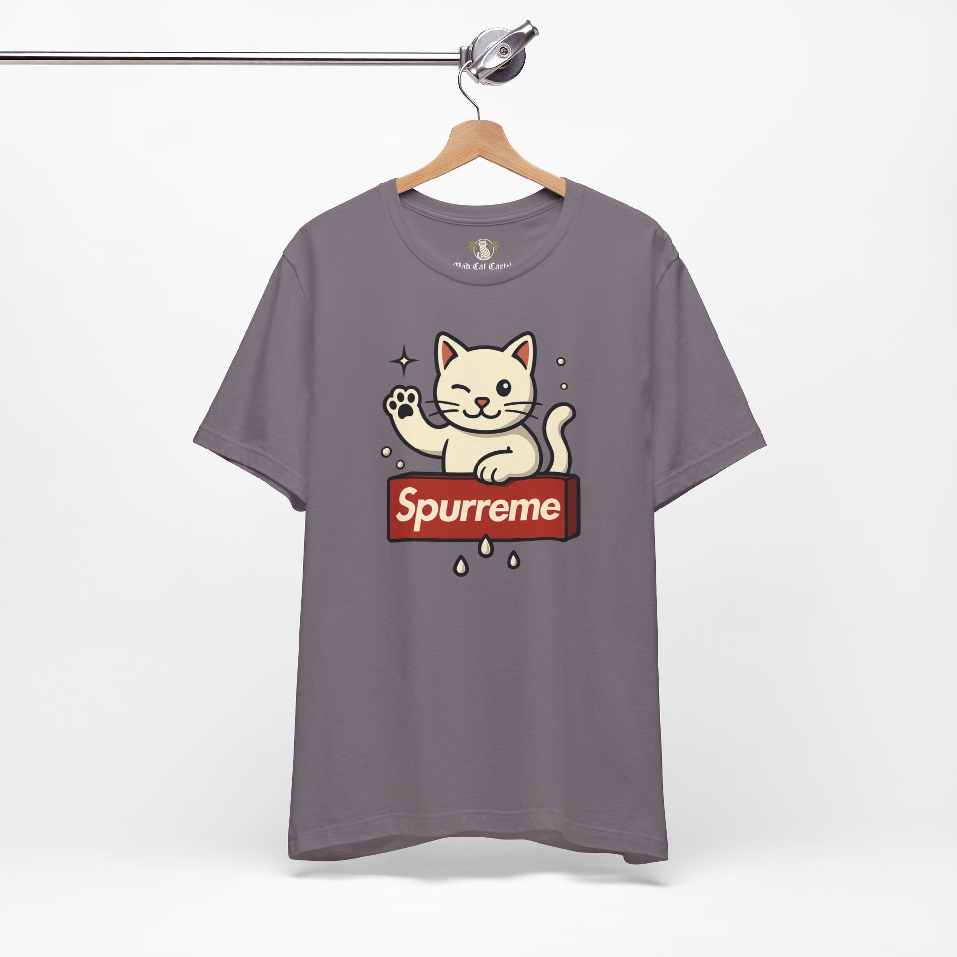 Storm gray t shirt hanging front flat lay funny adult shirts