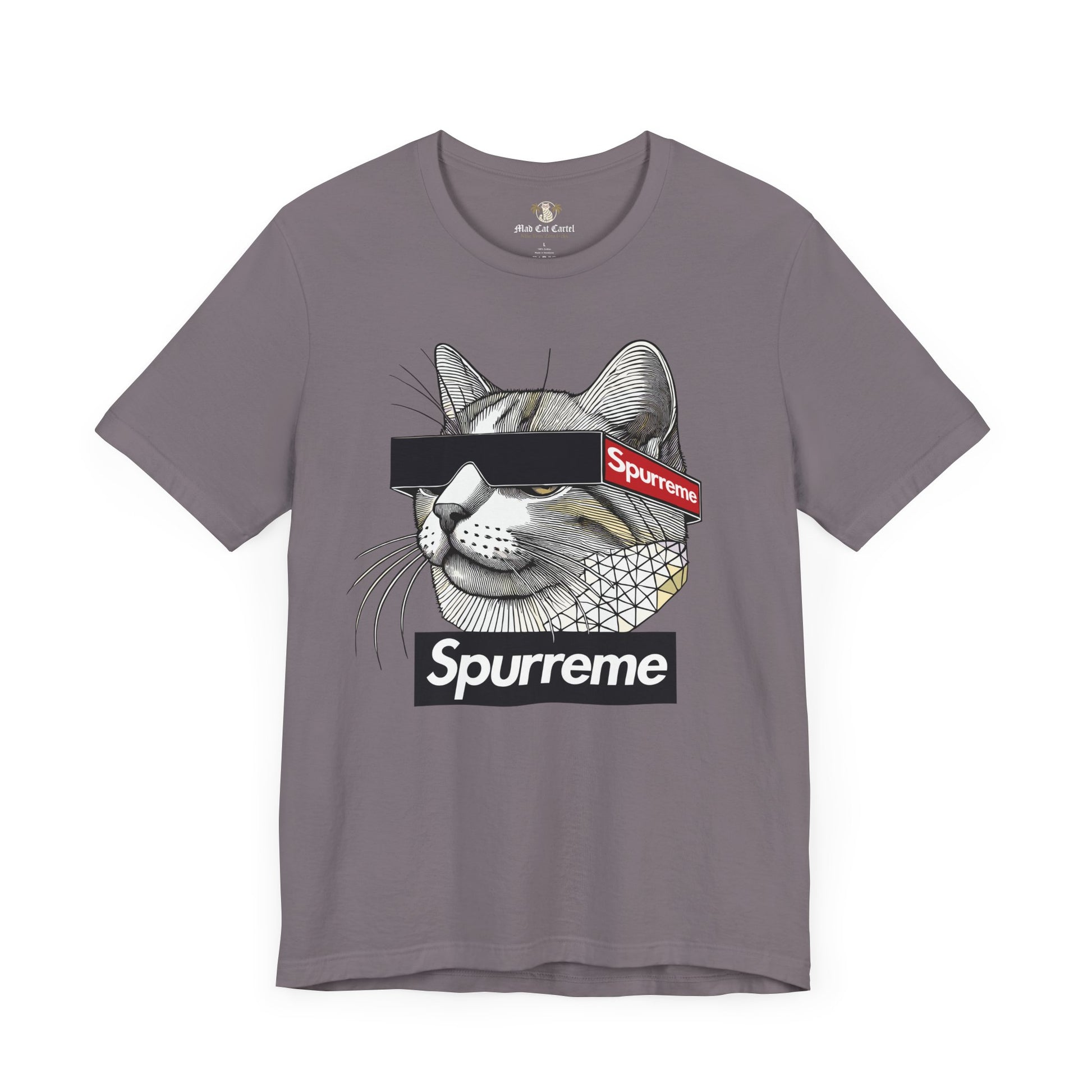 Spurreme Triangular Vision Cat Graphic T Shirt in Storm front flat lay, cat graphic tee