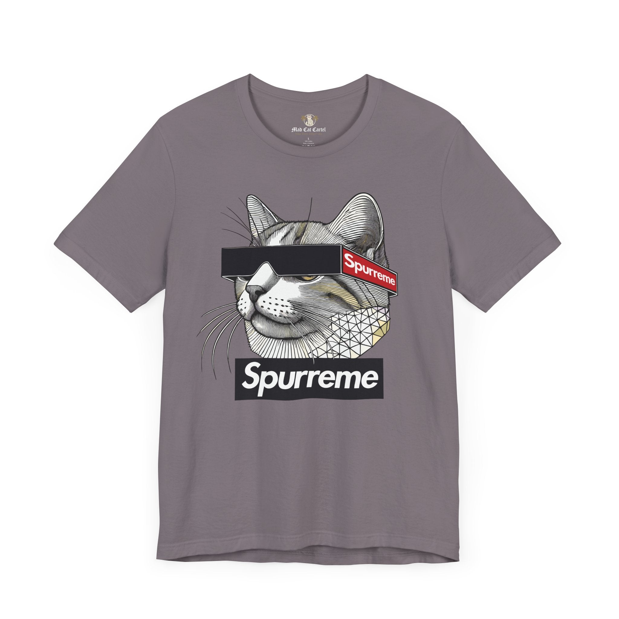 Spurreme Triangular Vision Cat Graphic T Shirt in Storm front flat lay, cat graphic tee