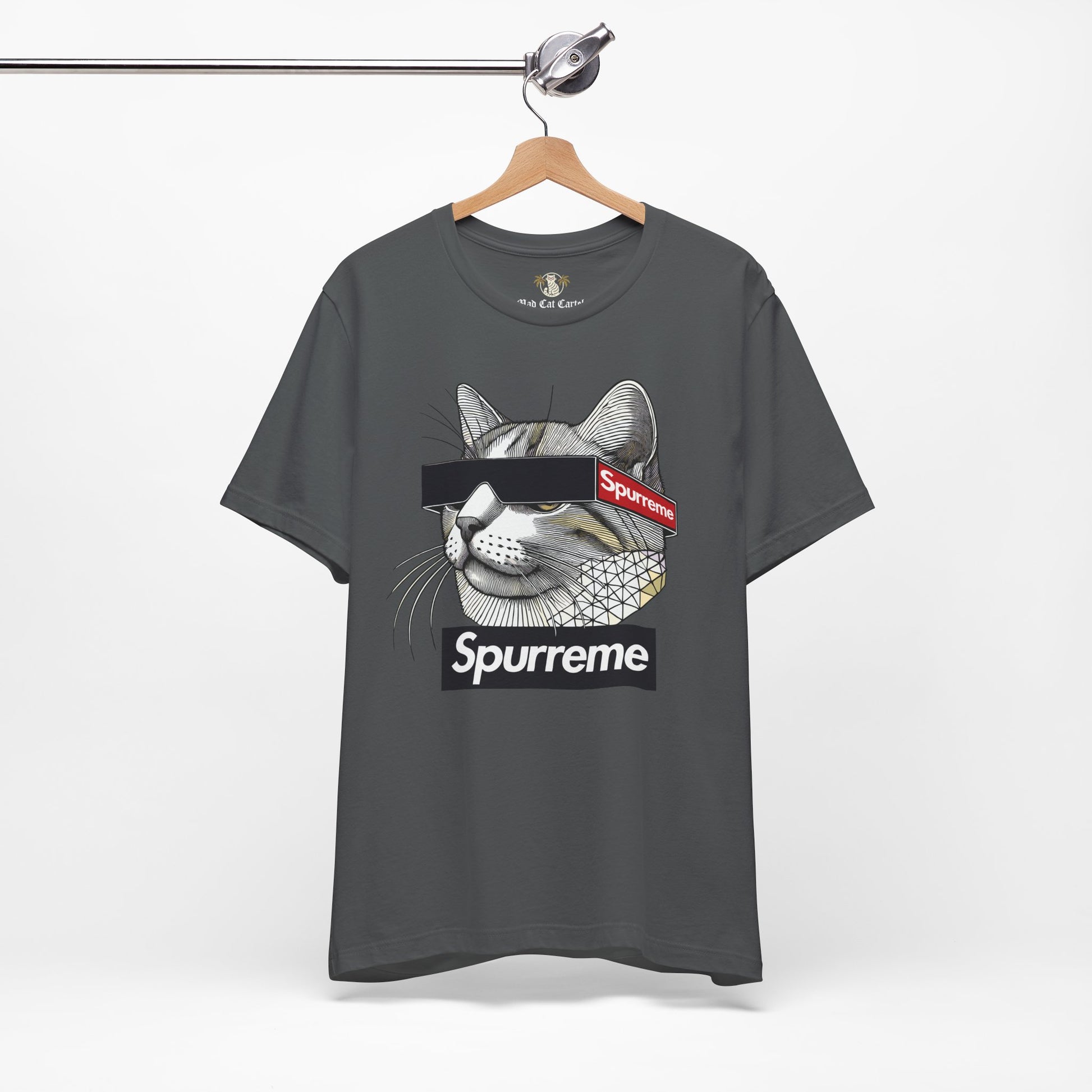 Asphalt Spurreme Triangular Vision Cat Graphic T-Shirt hanging front view – cat lover t shirts