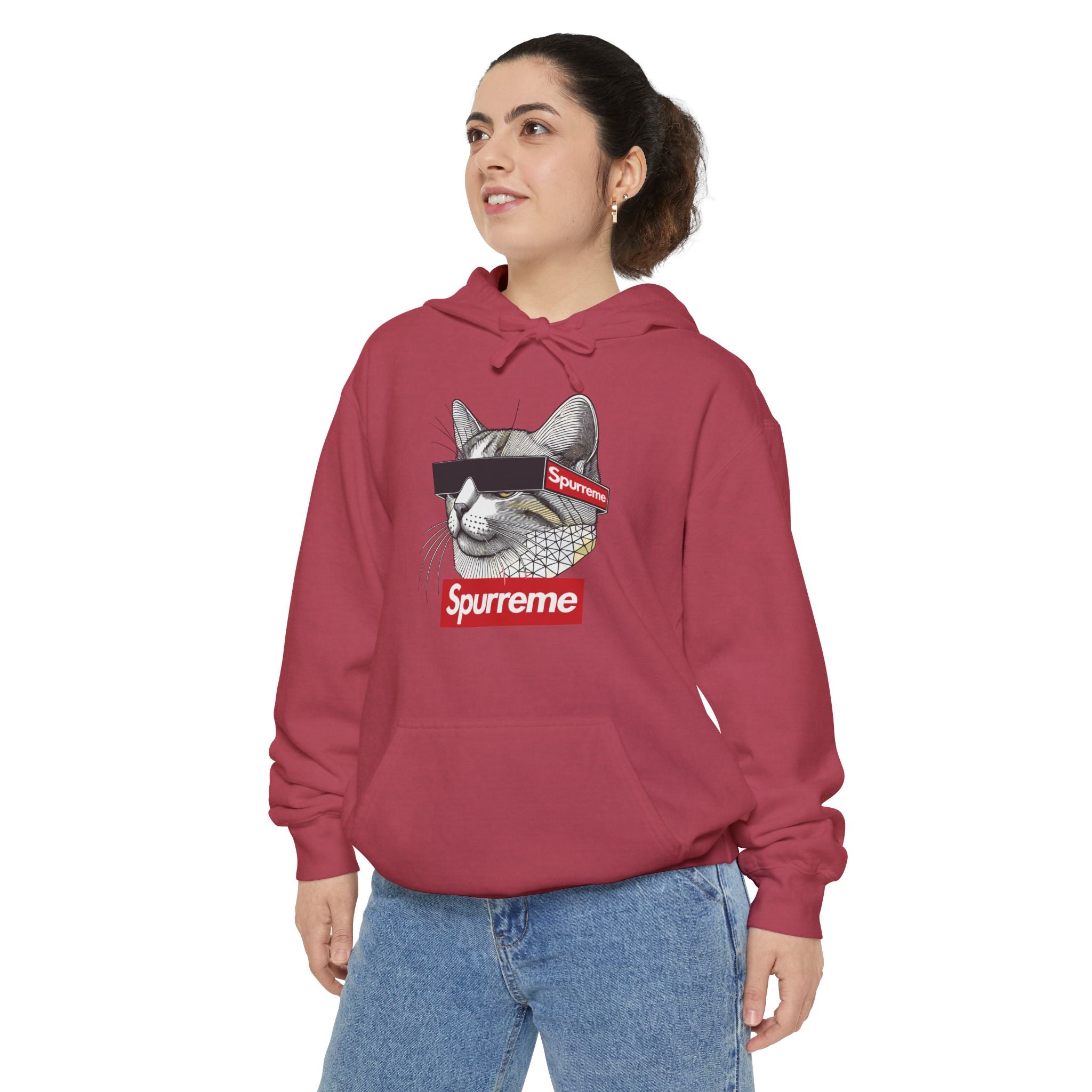 Spurreme Triangular Vision Cat Graphic Hoodie
