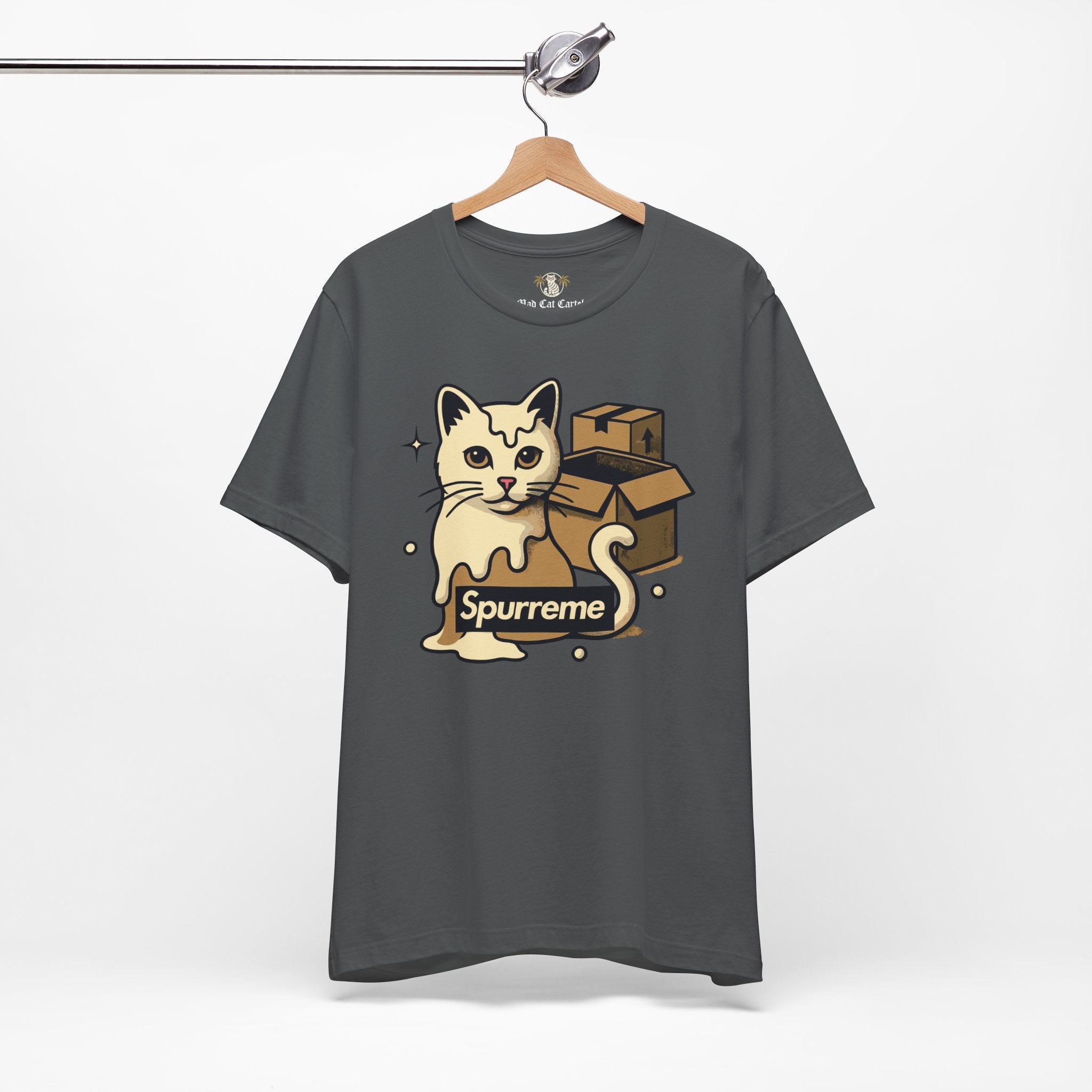 Gray t shirt front hanging on wooden hanger men’s cat shirt