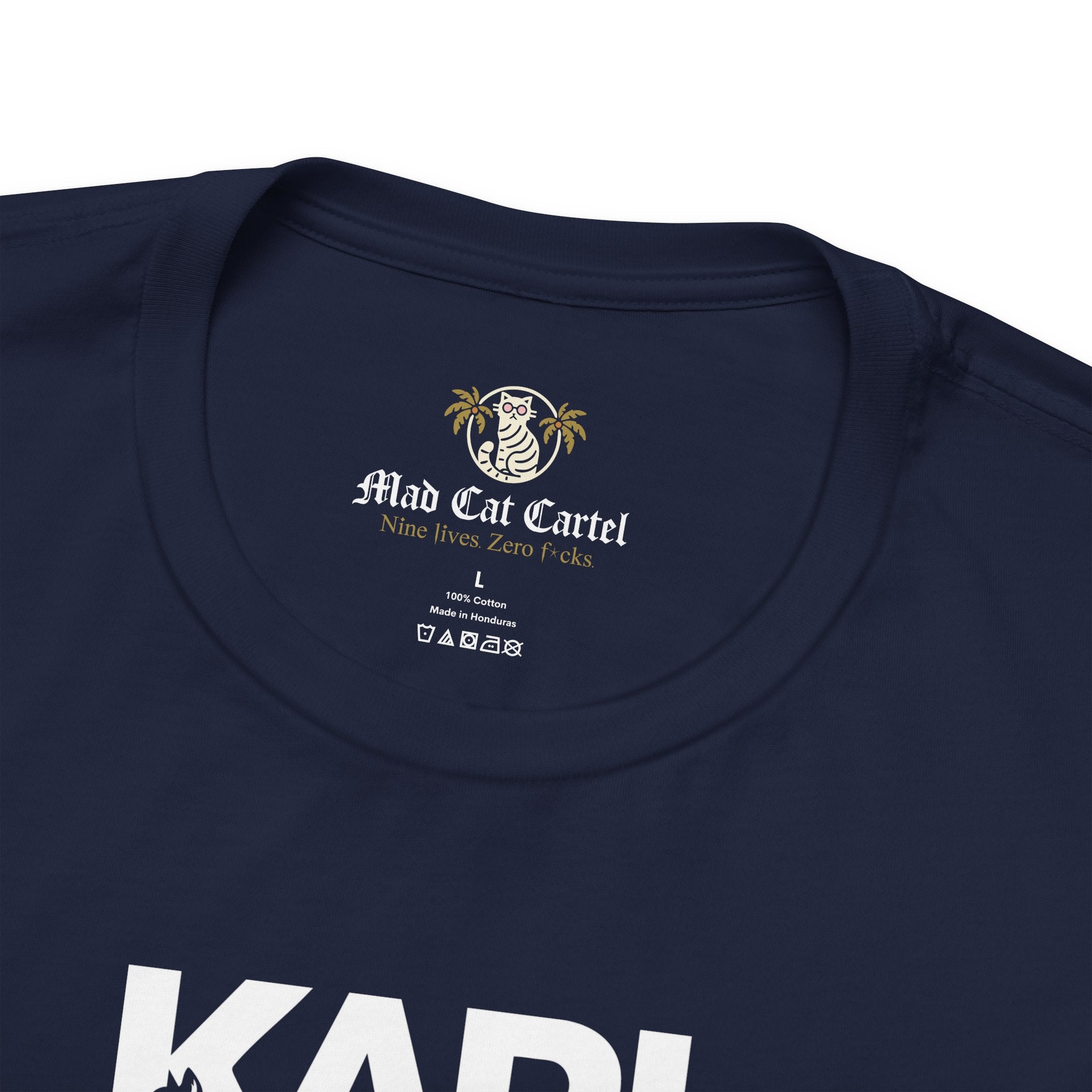 Karl Lacatfeld Spray Authority Cat Graphic T-Shirt in navy, close-up detail