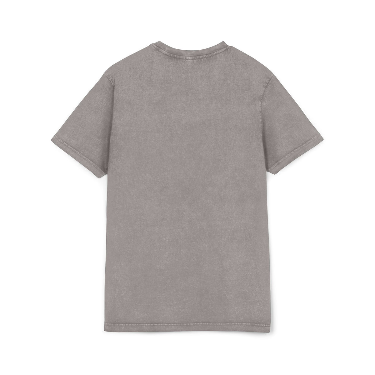 Off-Whisker Drift Cat Sketch Acid Washed T-Shirt in asphalt, back view