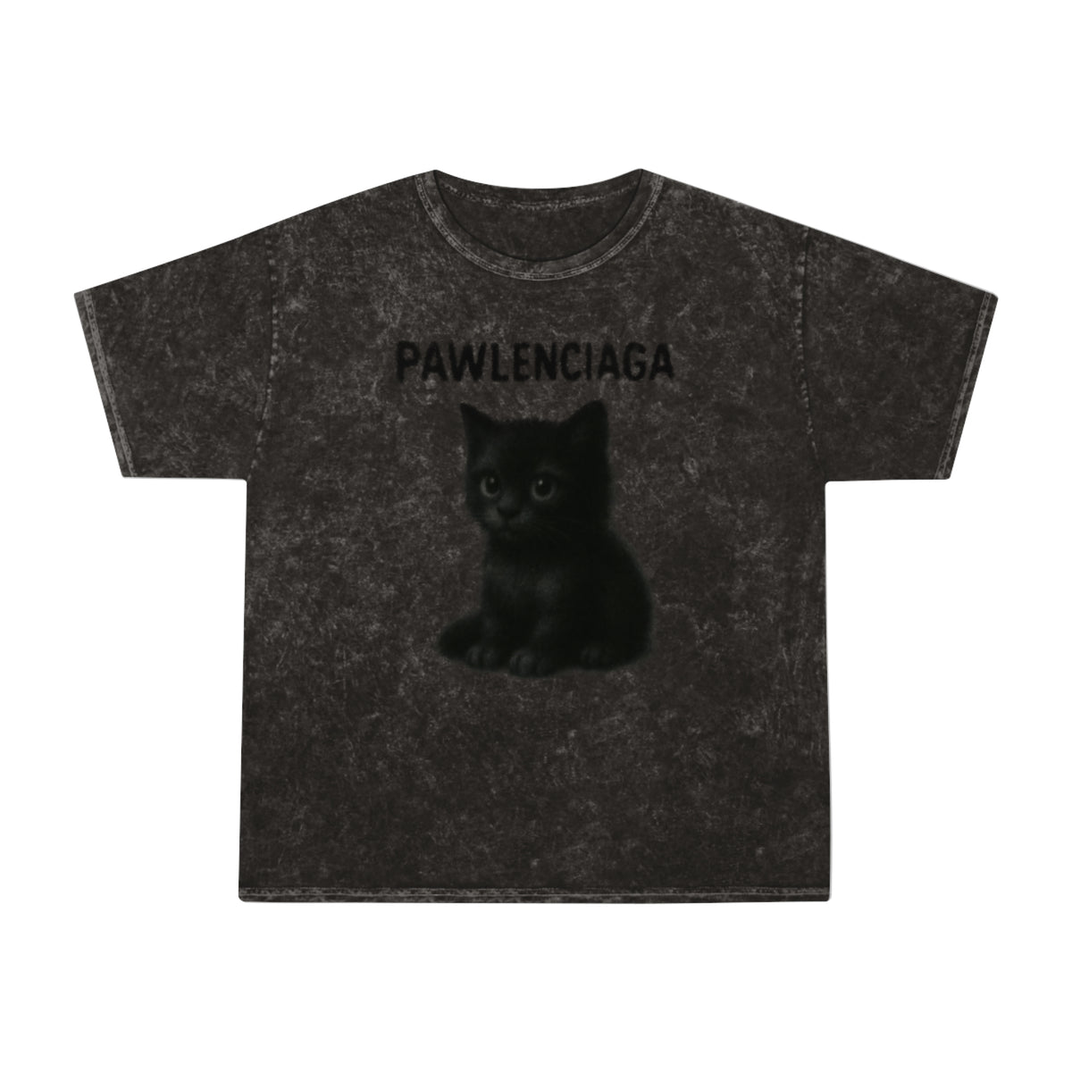 Pawlenciaga Black Kitty Graphic Mineral Wash T-Shirt in mineral black, front view