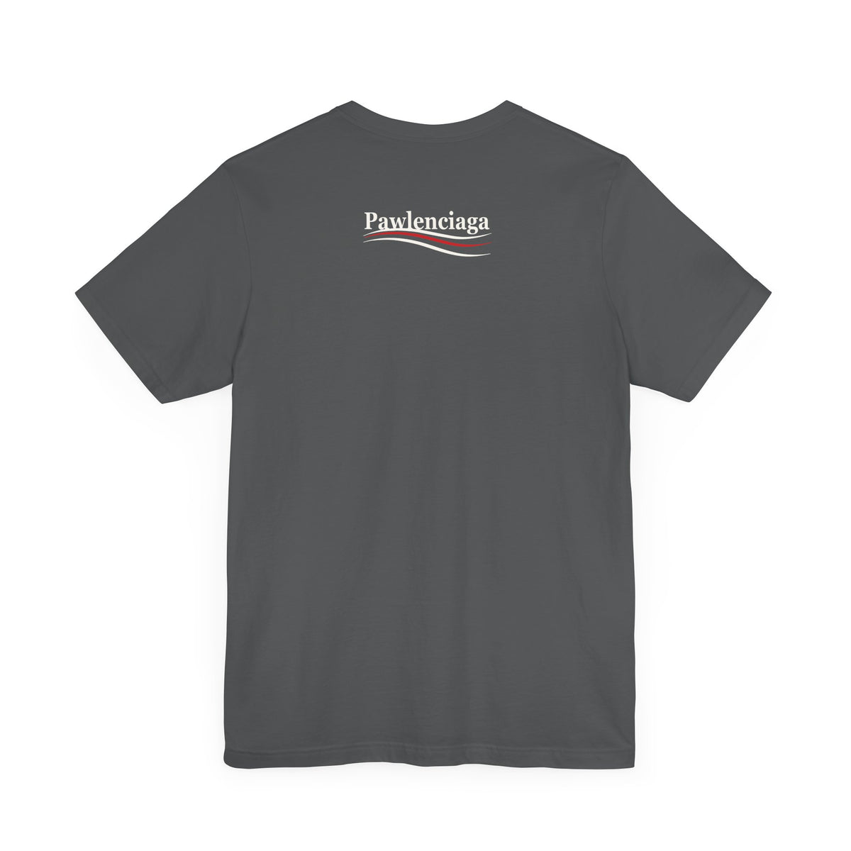 Pawlenciaga Cat With Goggles Back Pose Graphic T-Shirt in asphalt, back view