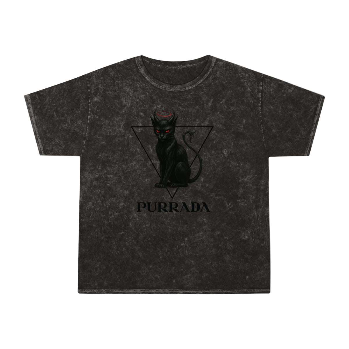 Purrada This Ain't Churchwear Cat Graphic Mineral Wash T-Shirt in mineral black, front view