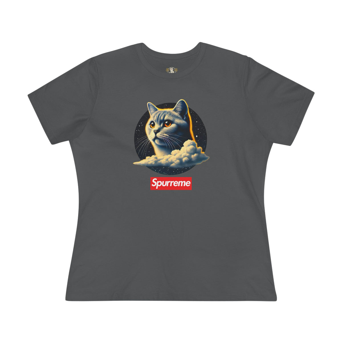 Spurreme Cosmic Cloud Cat Graphic Women's T-Shirt in asphalt, front view