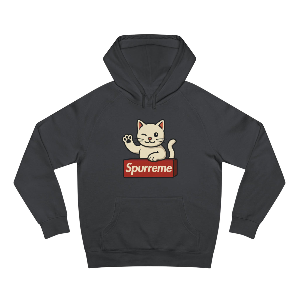 Spurreme Lucky Cat Box Logo Graphic Hoodie in coal, front view