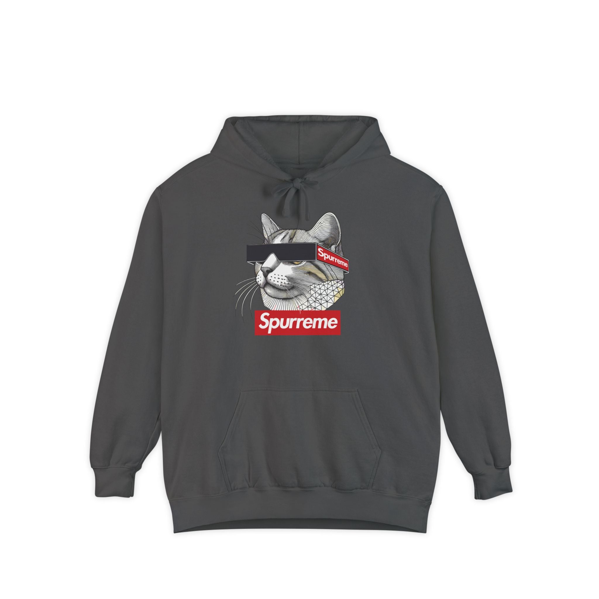 Spurreme Triangular Vision Cat Graphic Hoodie in pepper, front view