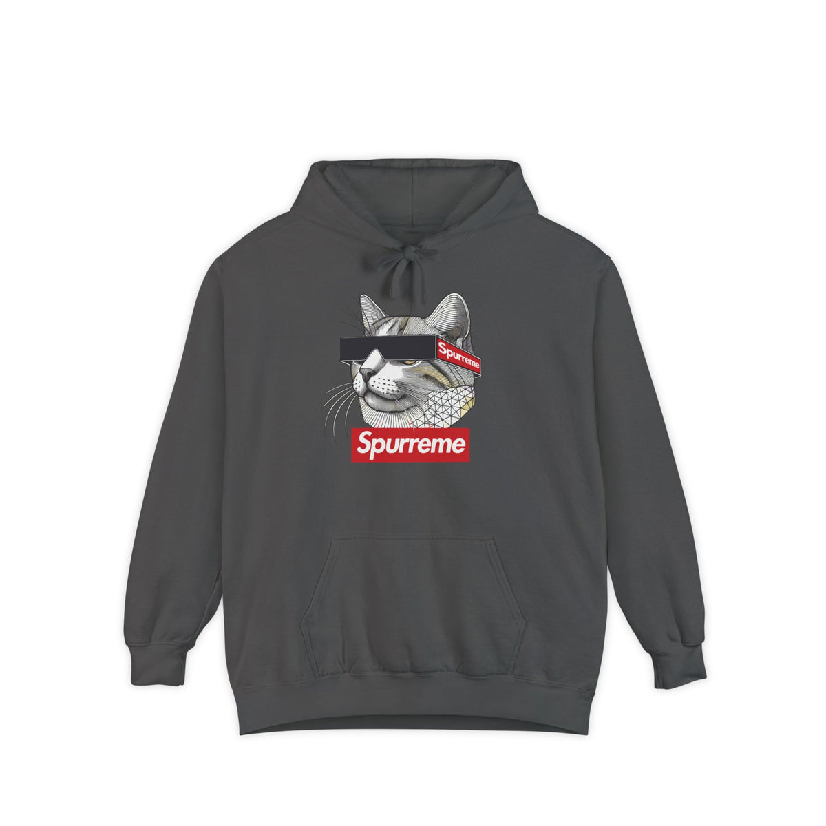 Spurreme Triangular Vision Cat Graphic Hoodie in pepper, front view