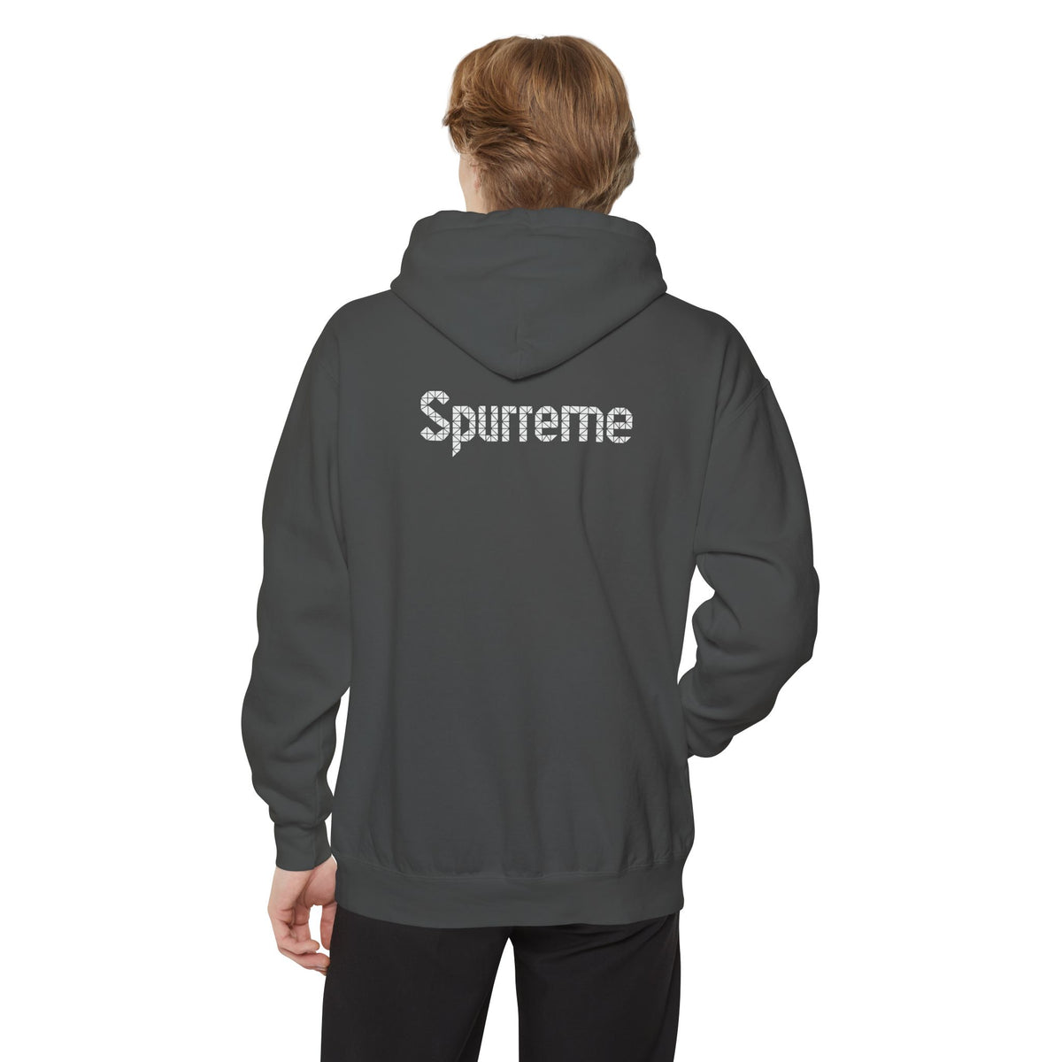 Spurreme Triangular Vision Cat Graphic Hoodie in pepper, back view on a male model