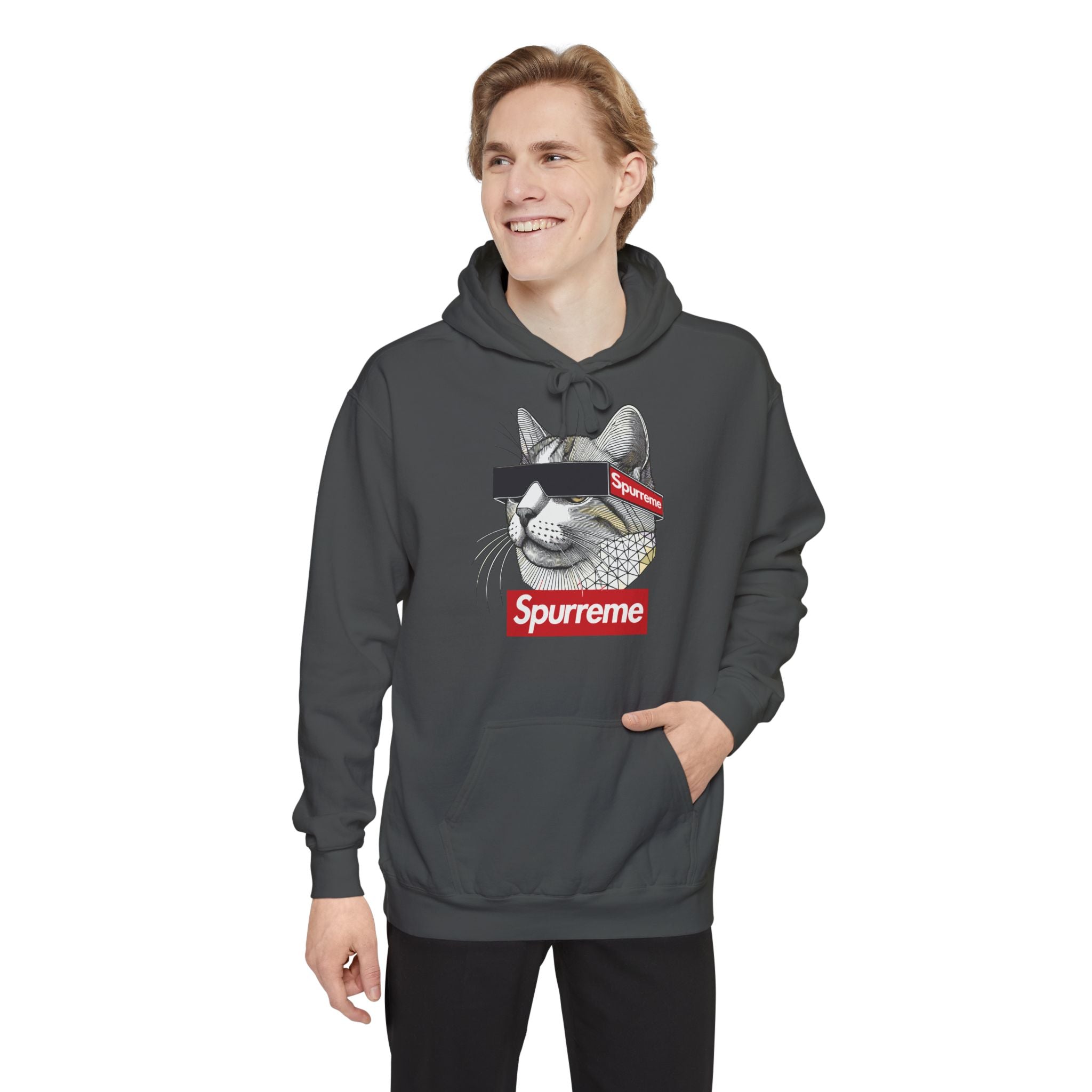Spurreme Triangular Vision Cat Graphic Hoodie in pepper, worn by a male model