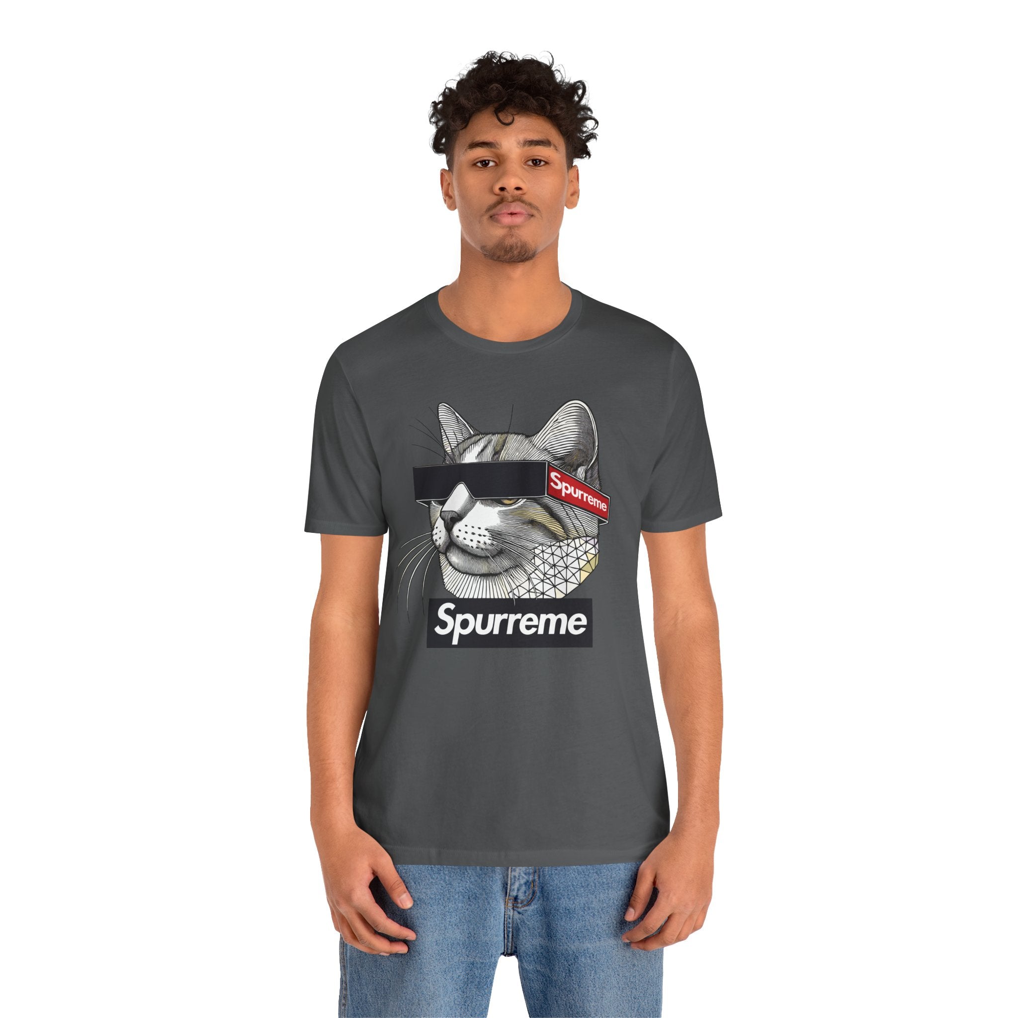 Spurreme Triangular Vision Cat Graphic T-Shirt in asphalt, worn by a male model