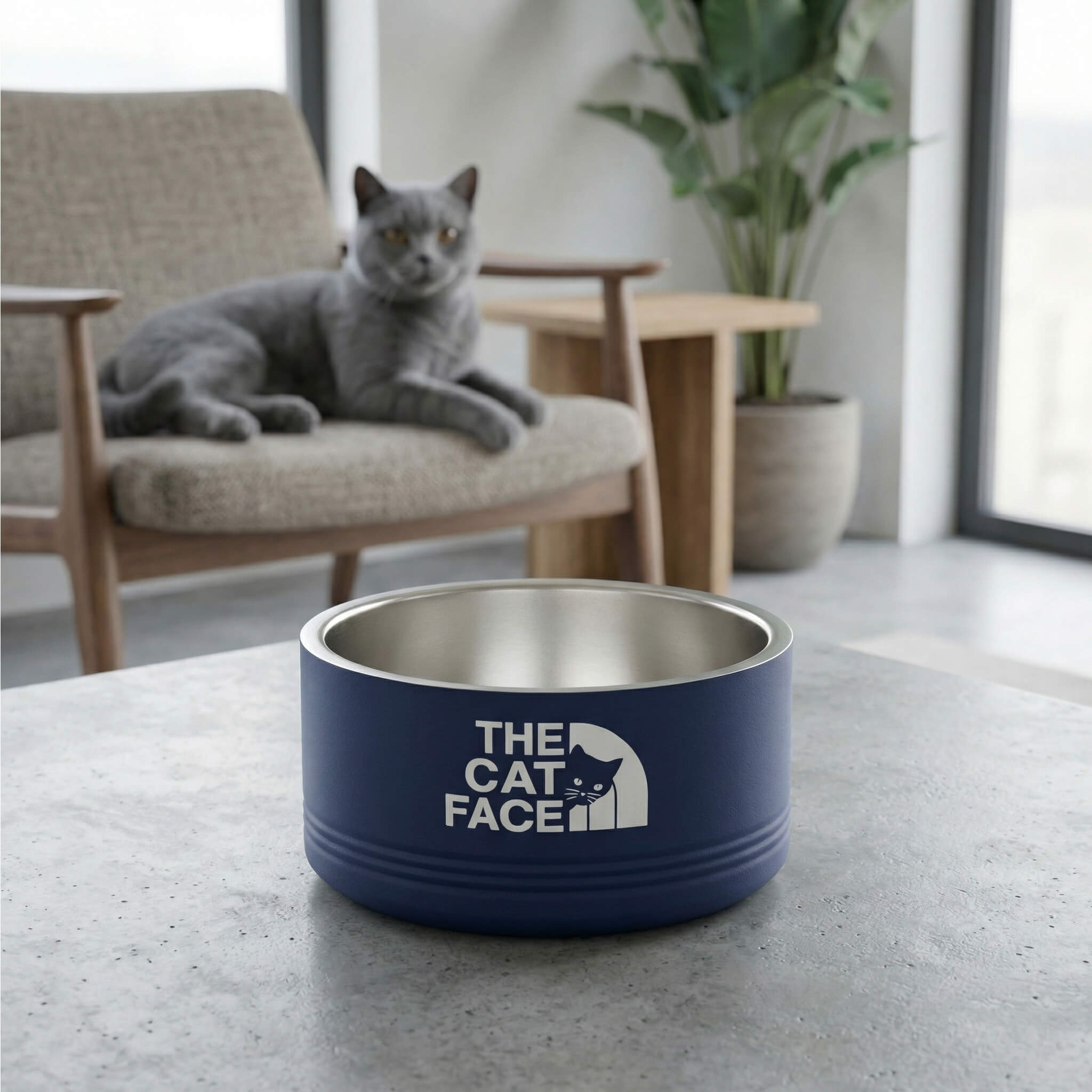 The Cat Face designer cat bowl with gray cat on counter Mad Cat Cartel