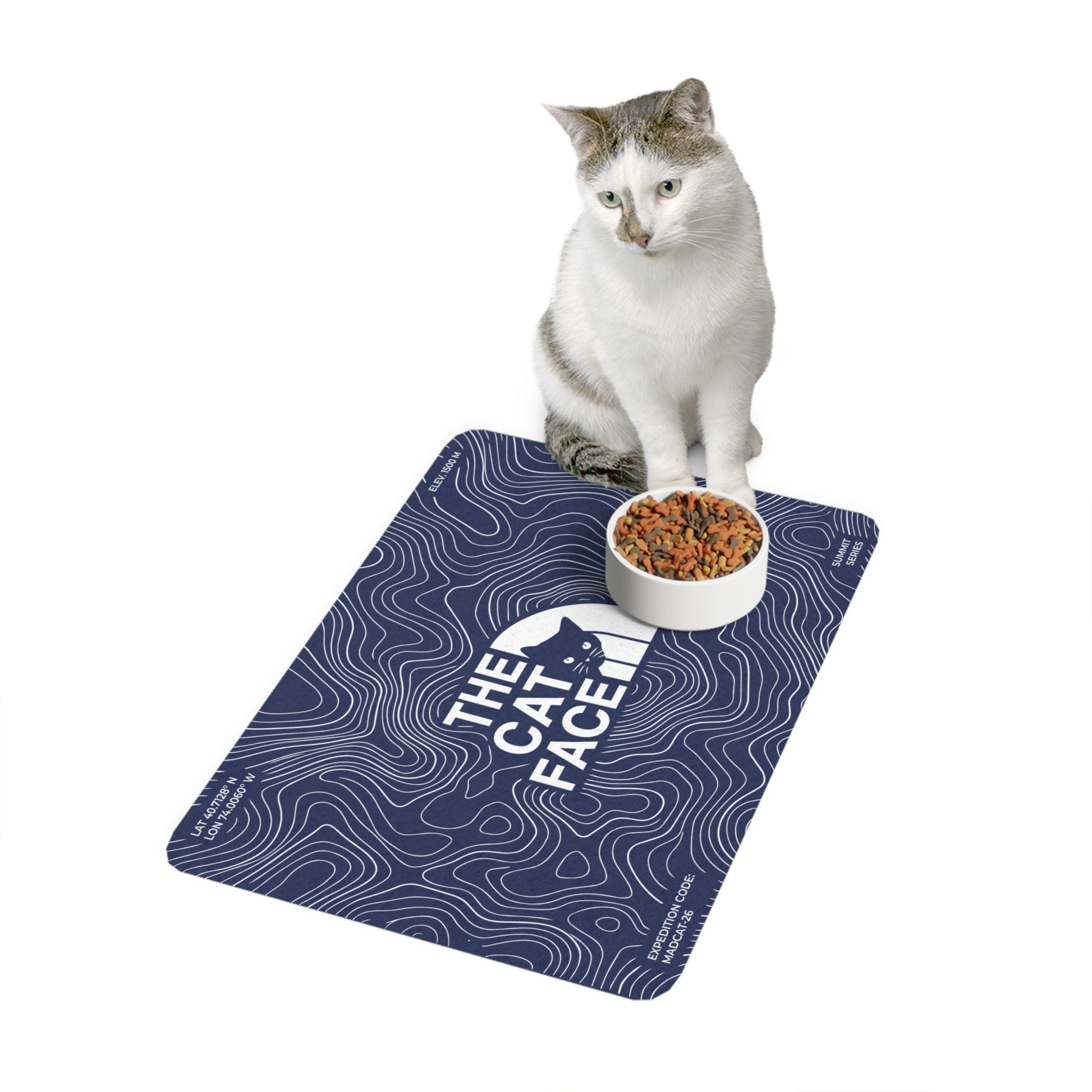 Blue feeding mat for food and water bowls with The Cat Face graphic and seated cat